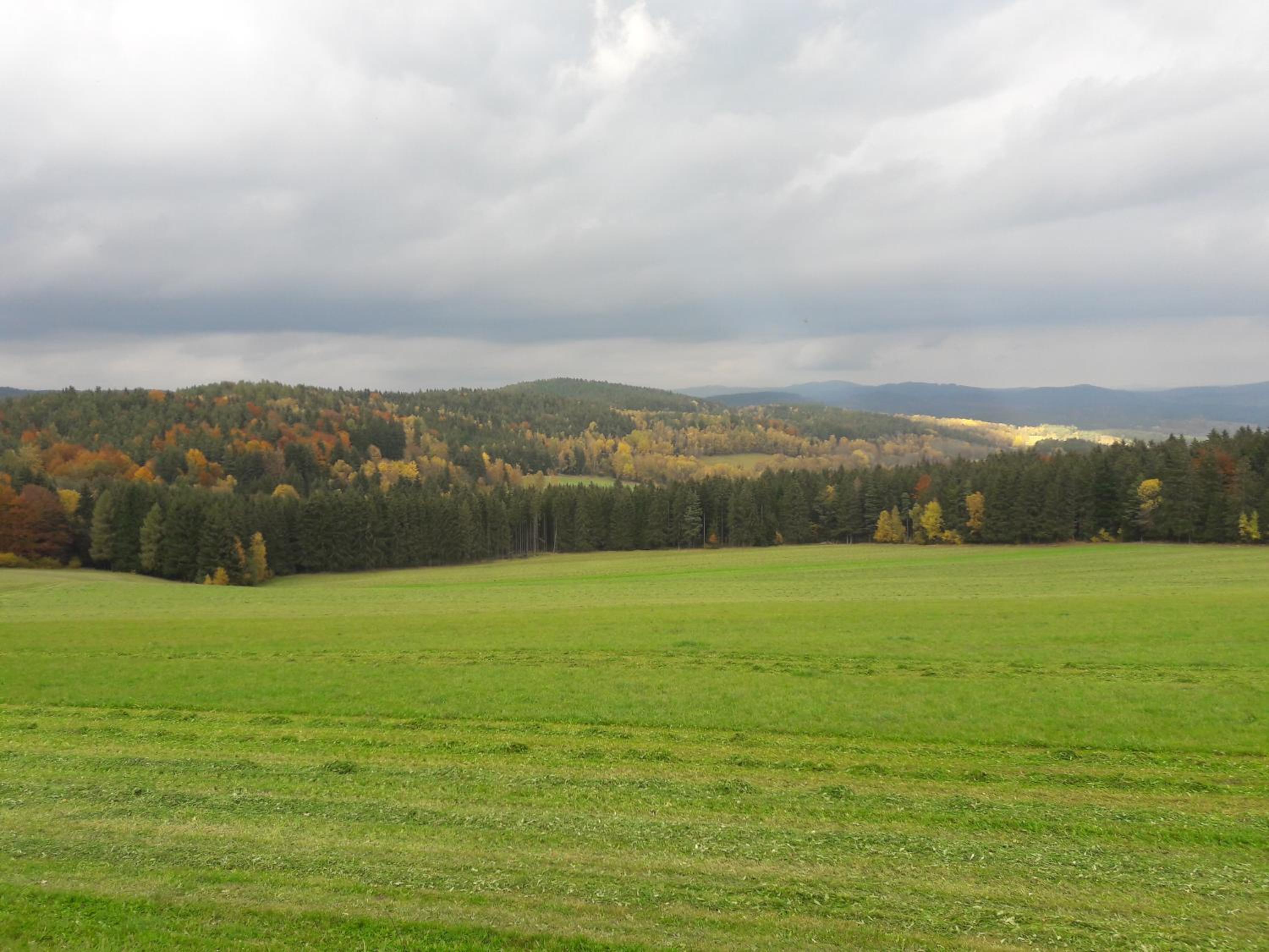 Photo 24