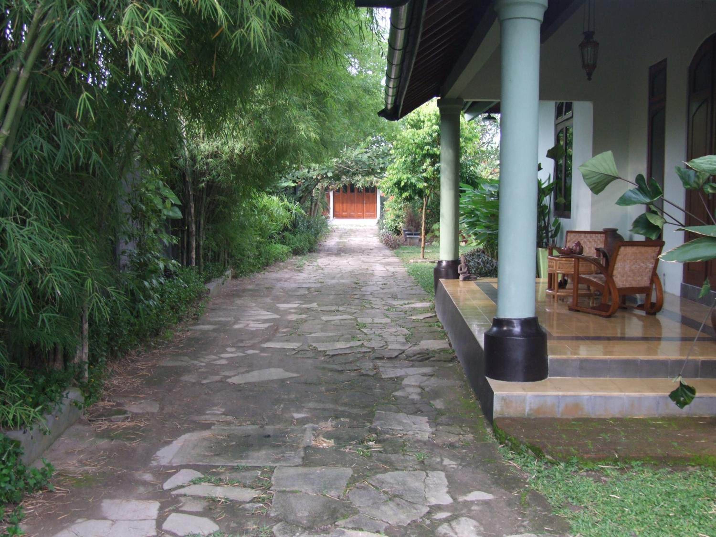 Photo 23