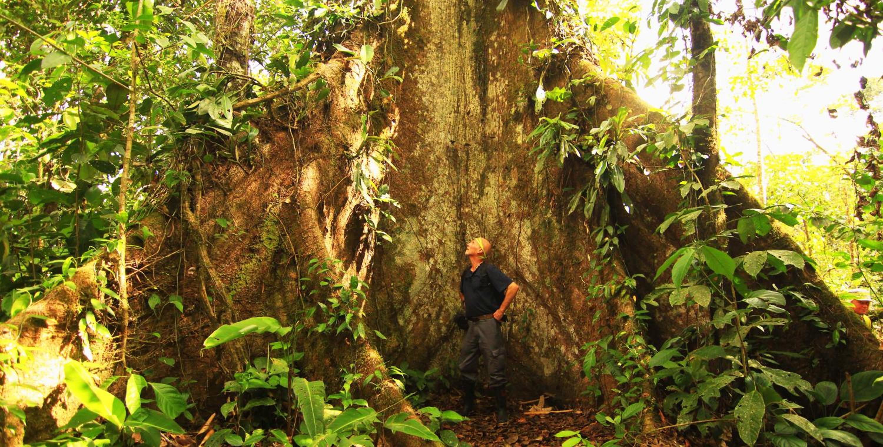 Suchipakari Amazon Eco -Lodge & Jungle Reserve