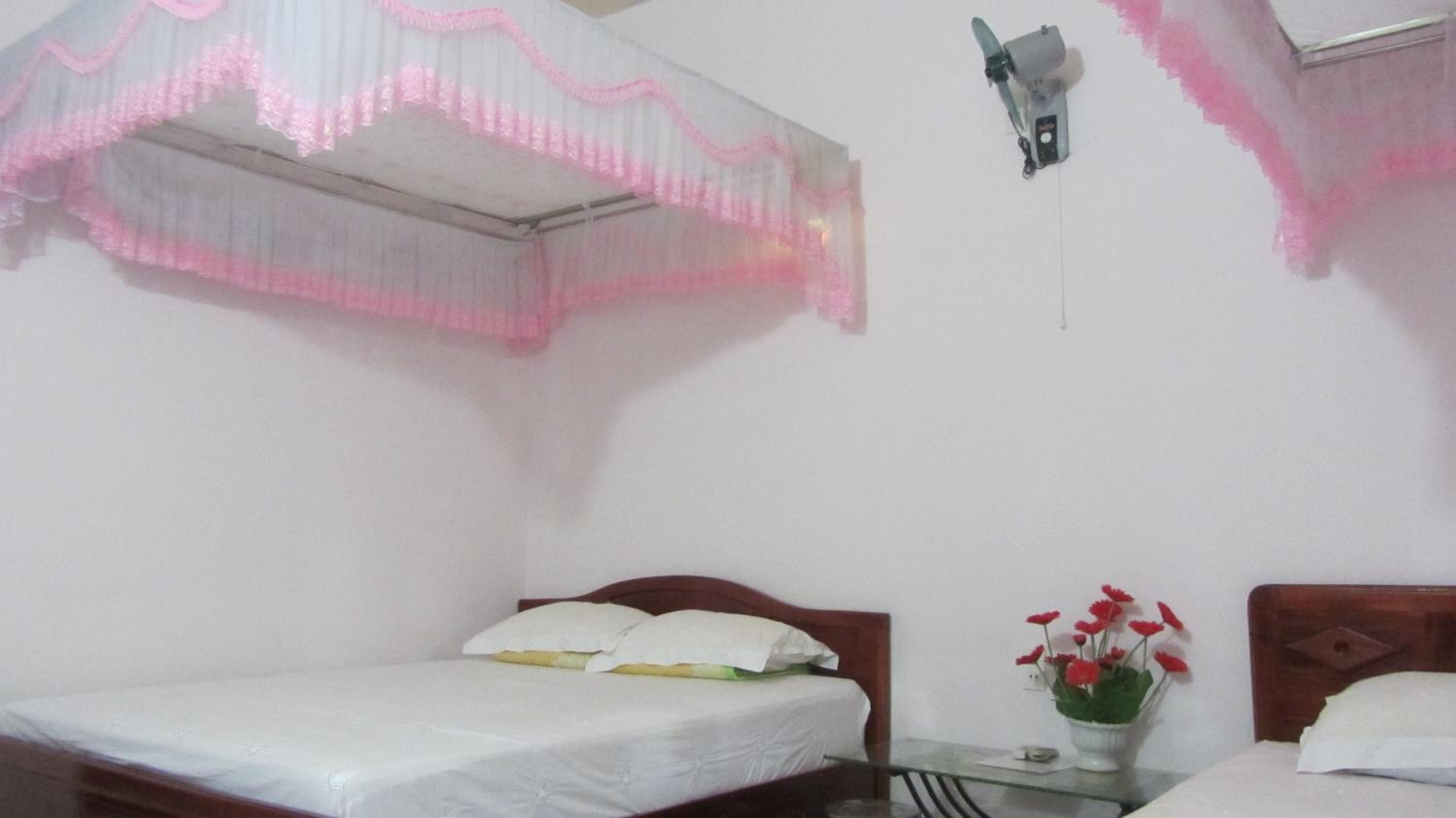 Thao Vi Guest House Duc Thao