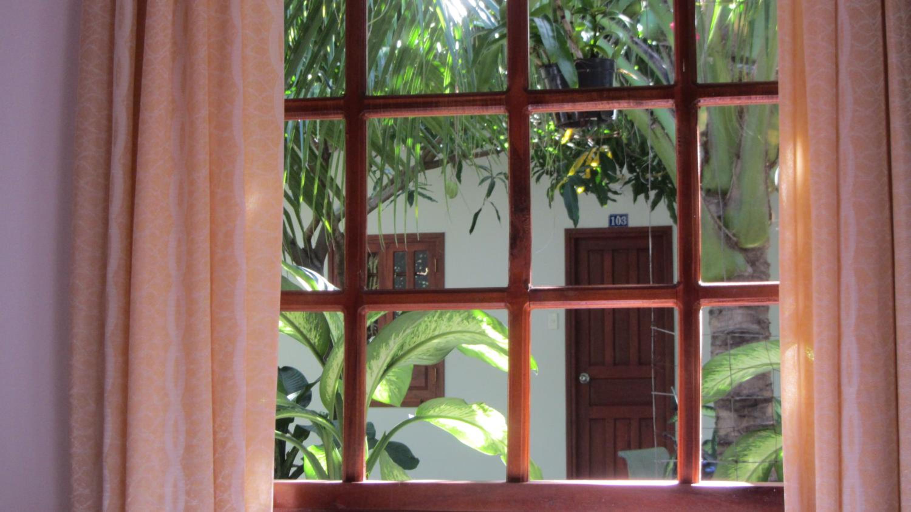 Thao Vi Guest House Duc Thao