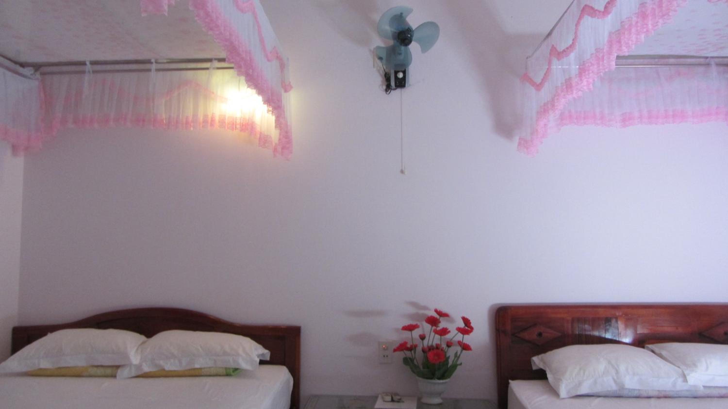 Thao Vi Guest House Duc Thao