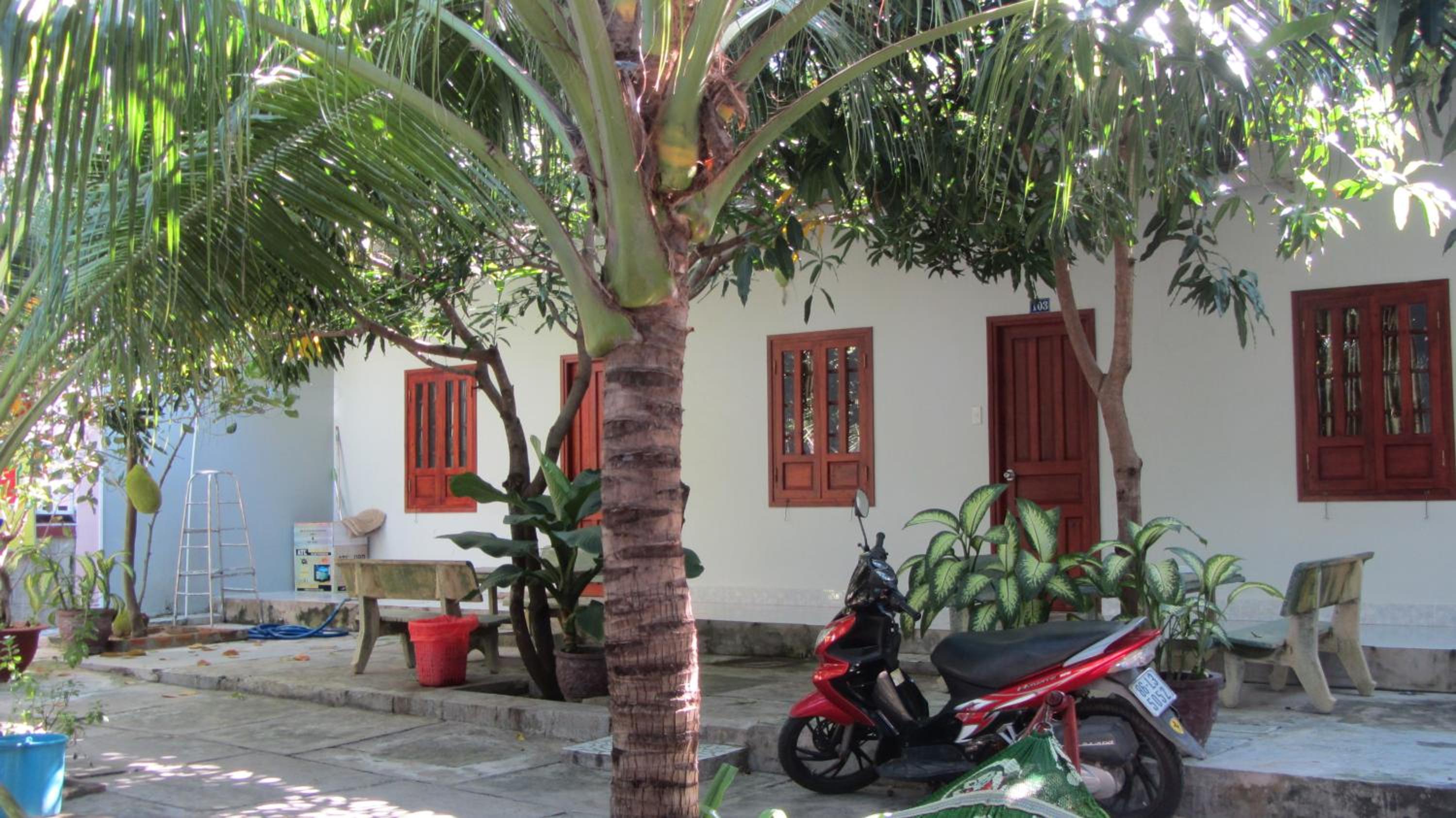Thao Vi Guest House Duc Thao