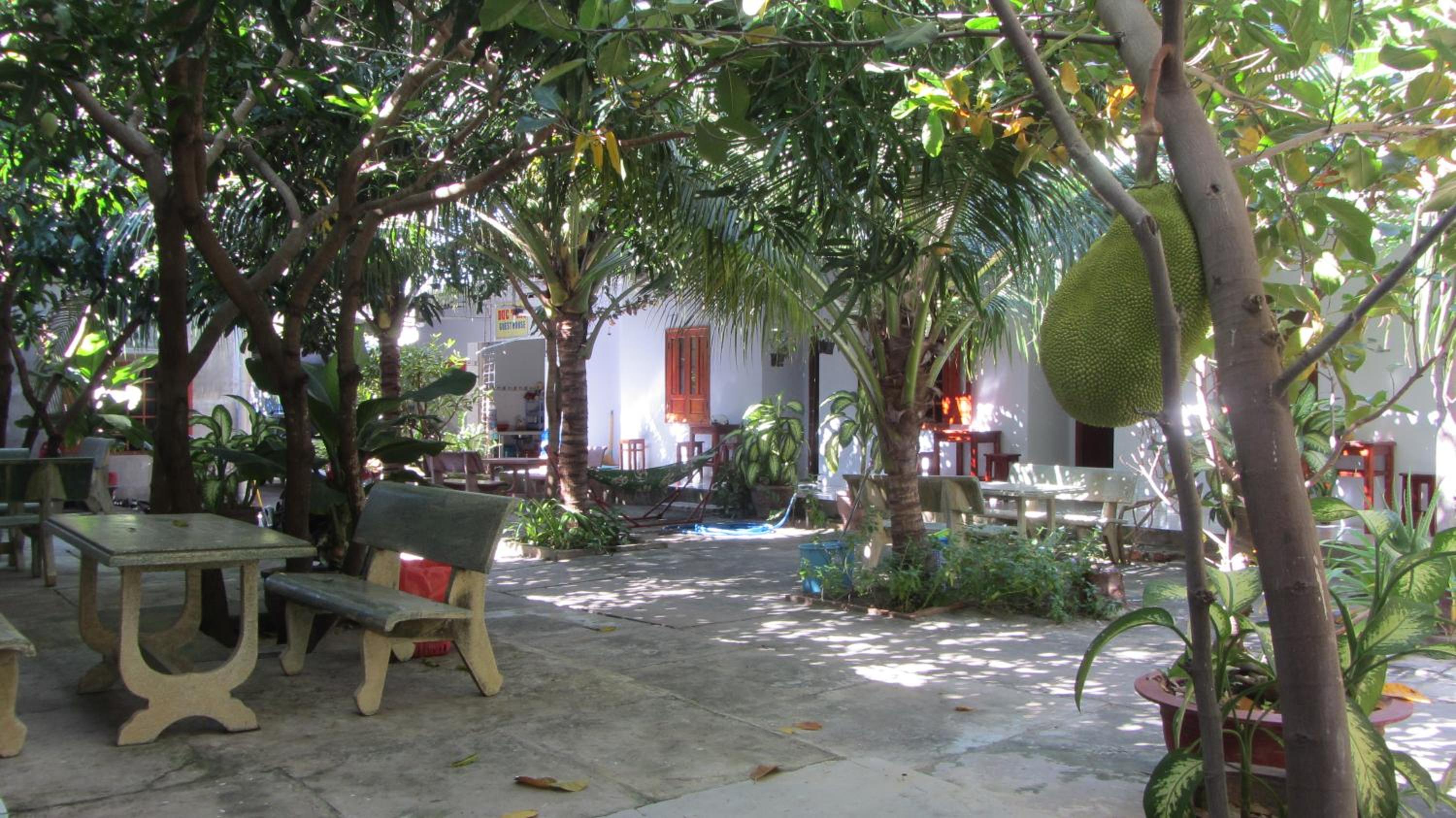 Thao Vi Guest House Duc Thao