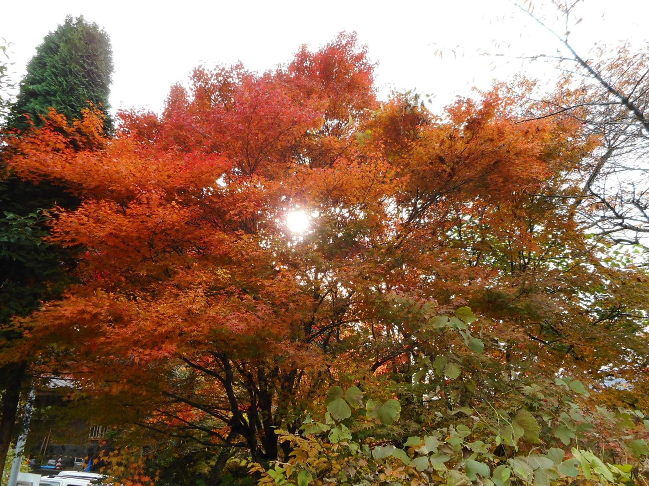 Breezbay Lake Resort Kawaguchiko