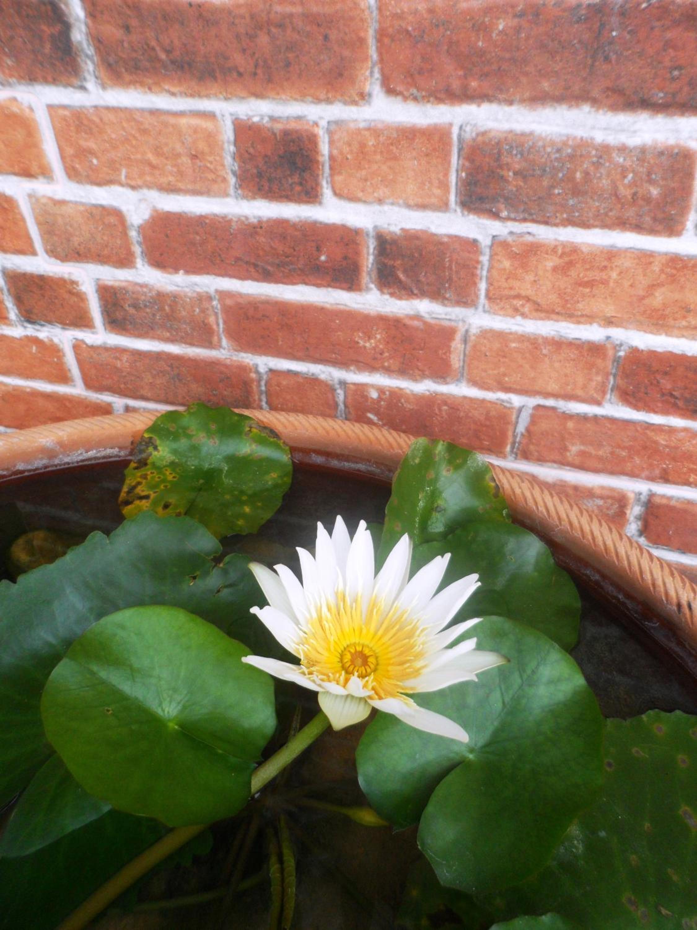 Photo 29