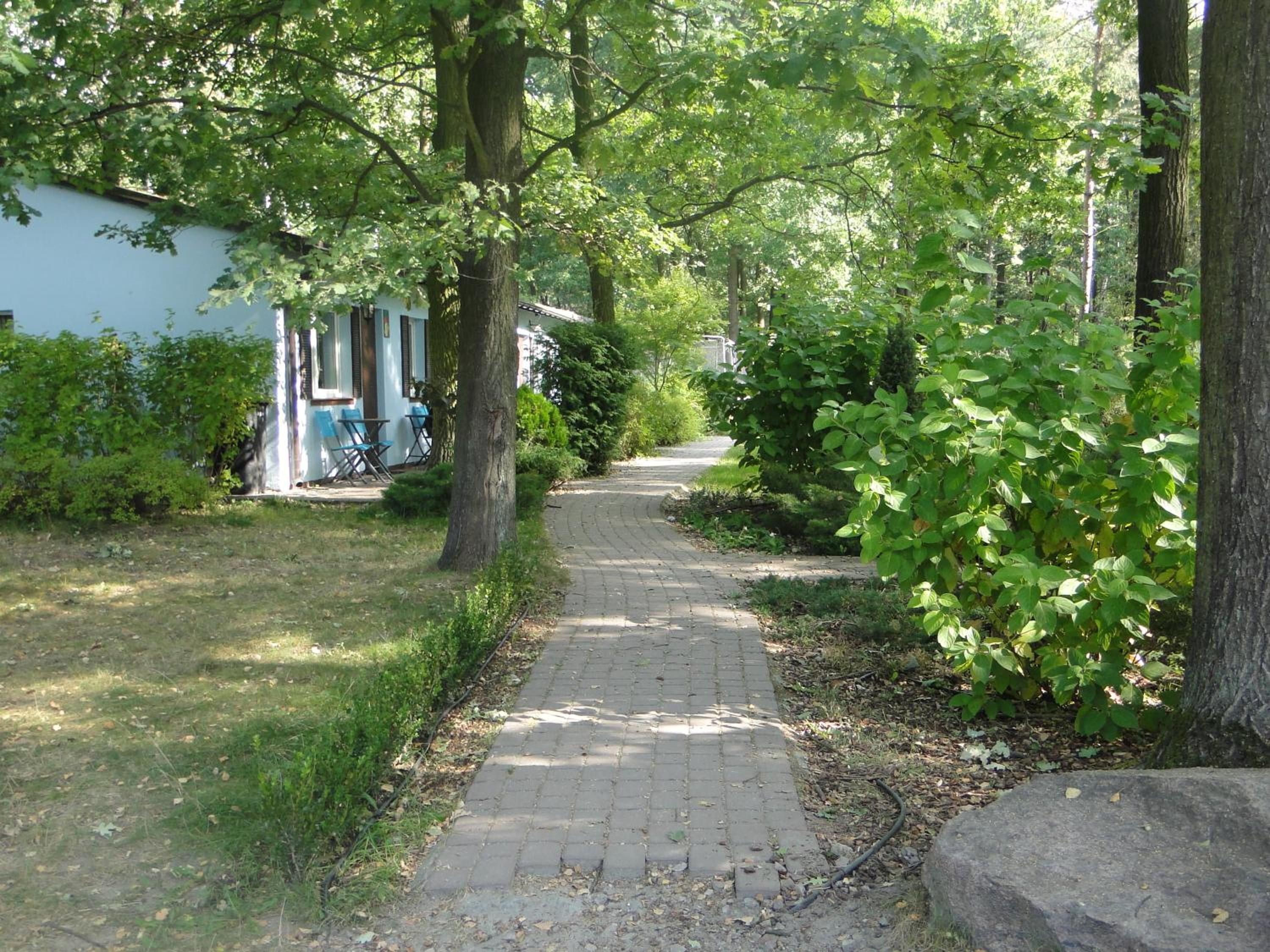 Photo 49