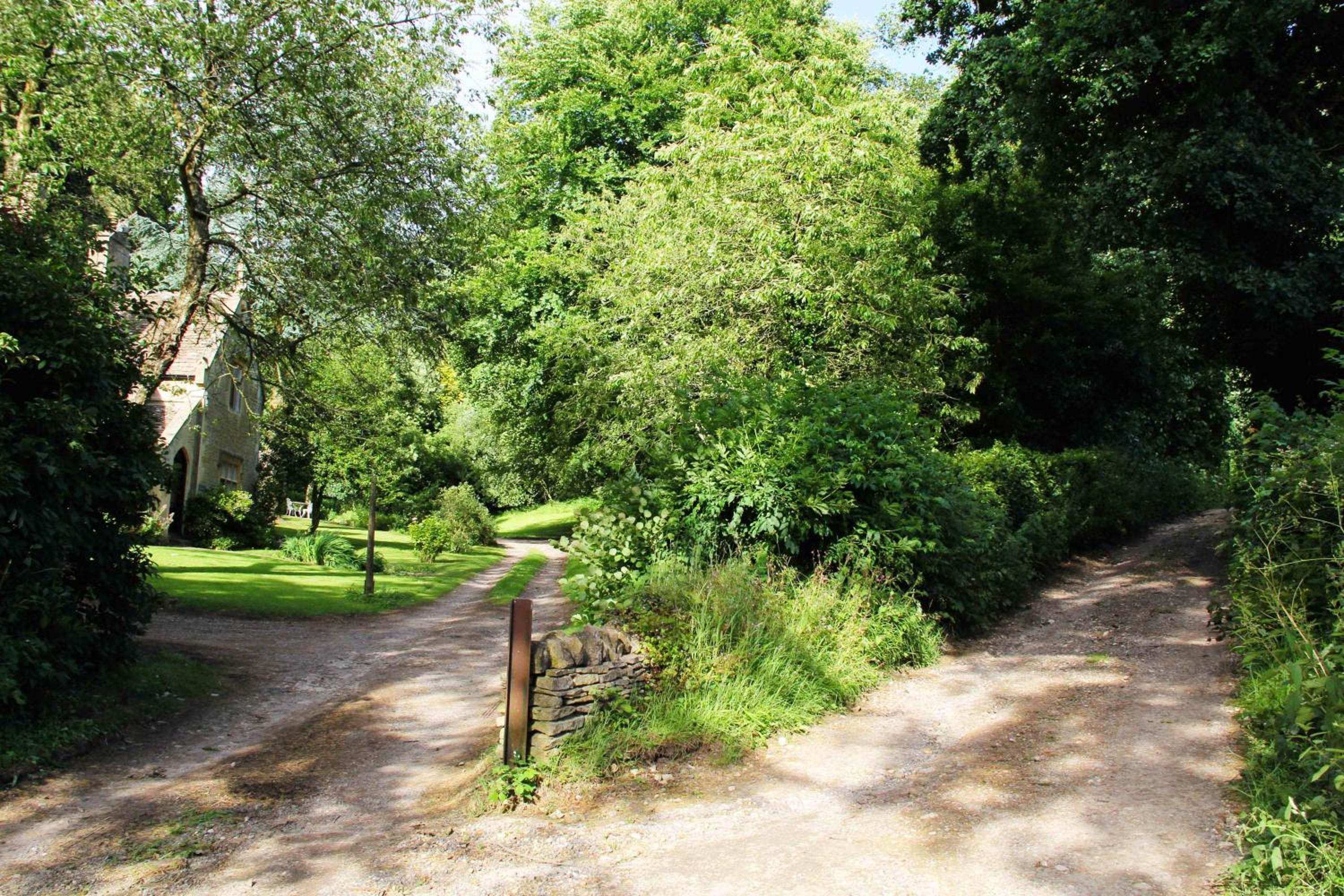 Photo 45