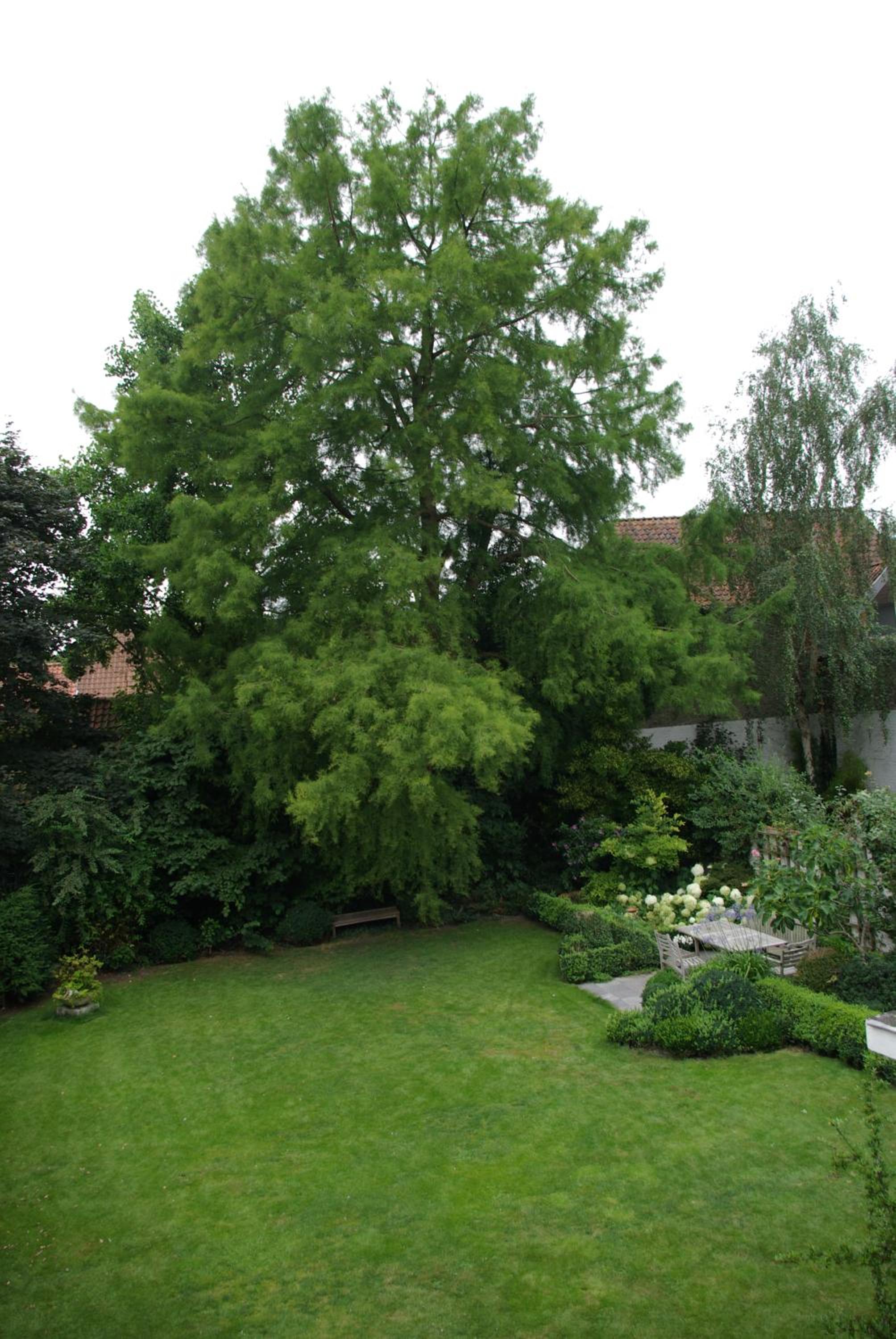 B&B Huyze Weyne