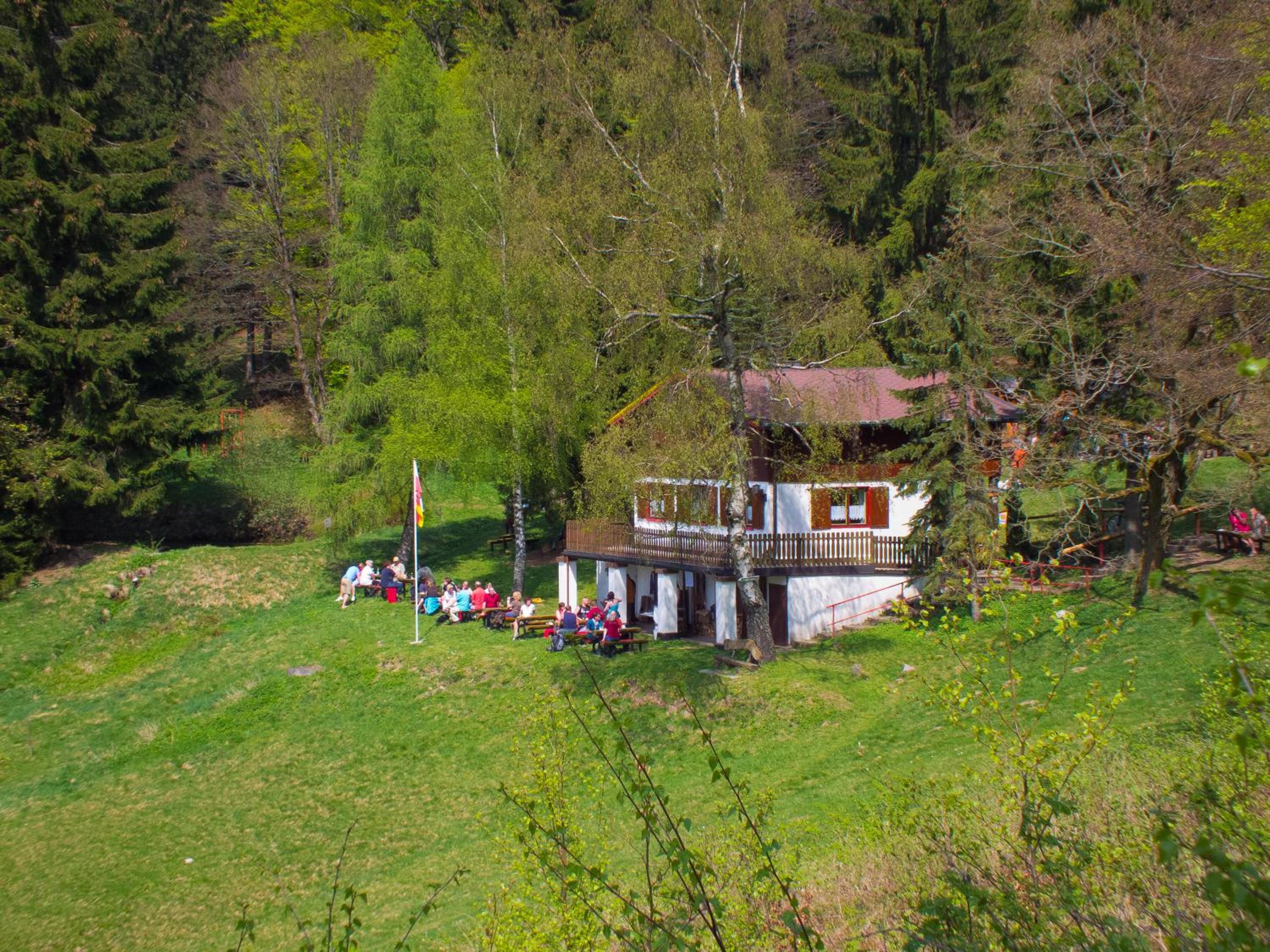 Photo 6