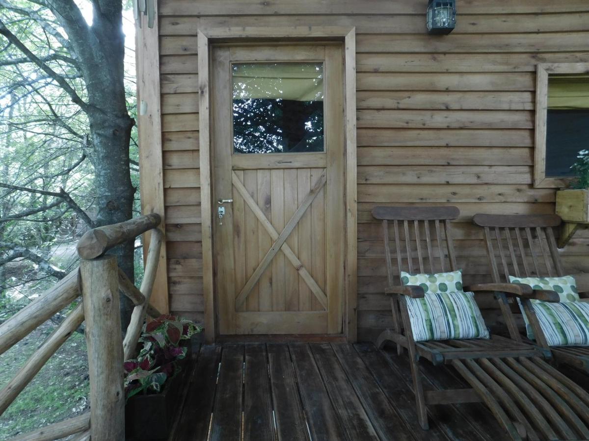 La Casa Del Arbol con pileta privada