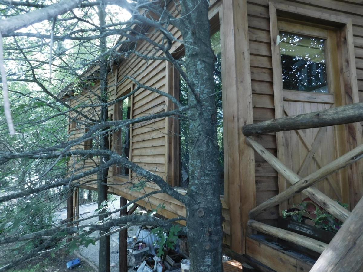 La Casa Del Arbol con pileta privada