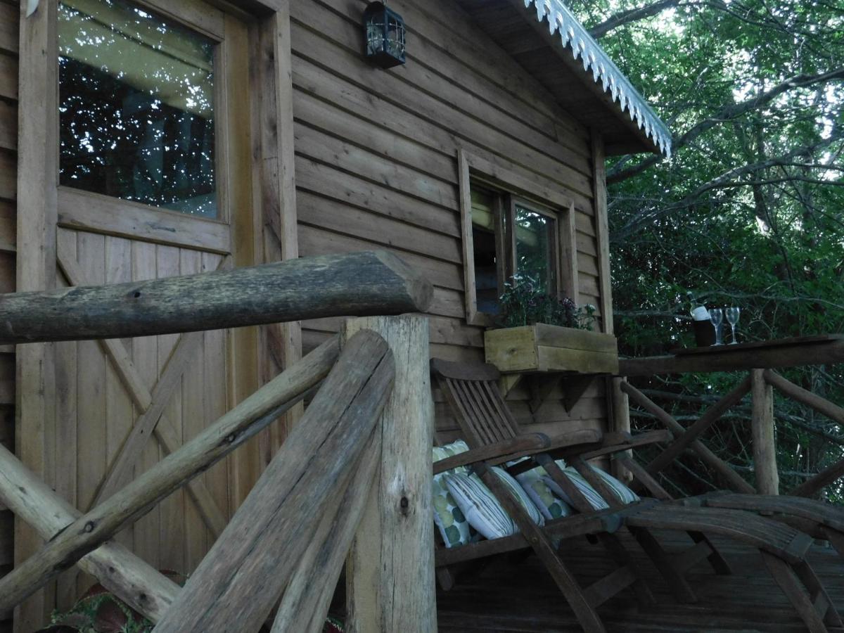 La Casa Del Arbol con pileta privada