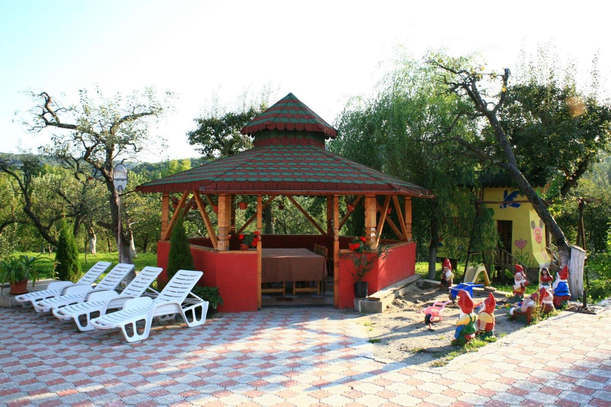 Photo 6