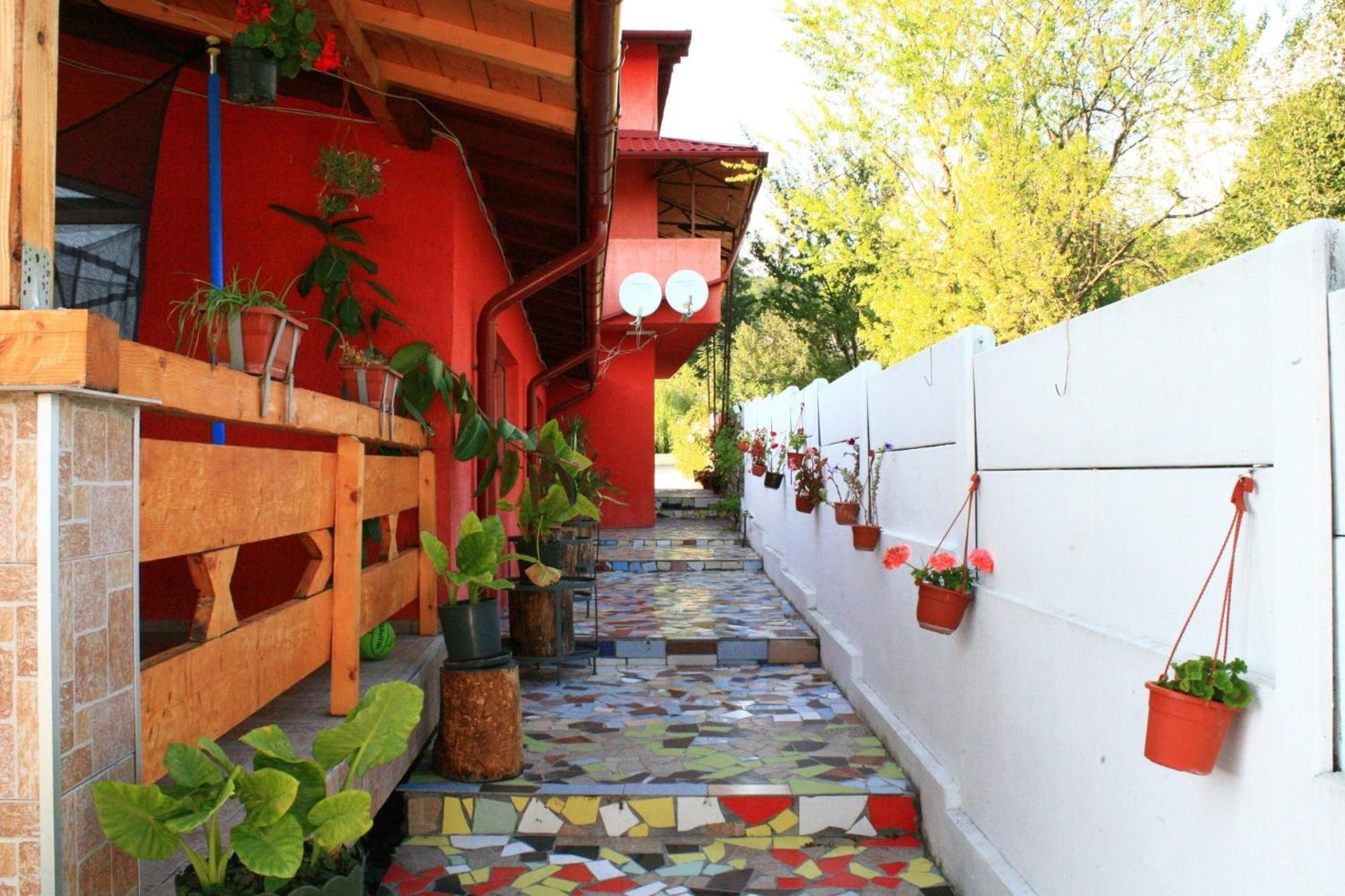 Photo 24