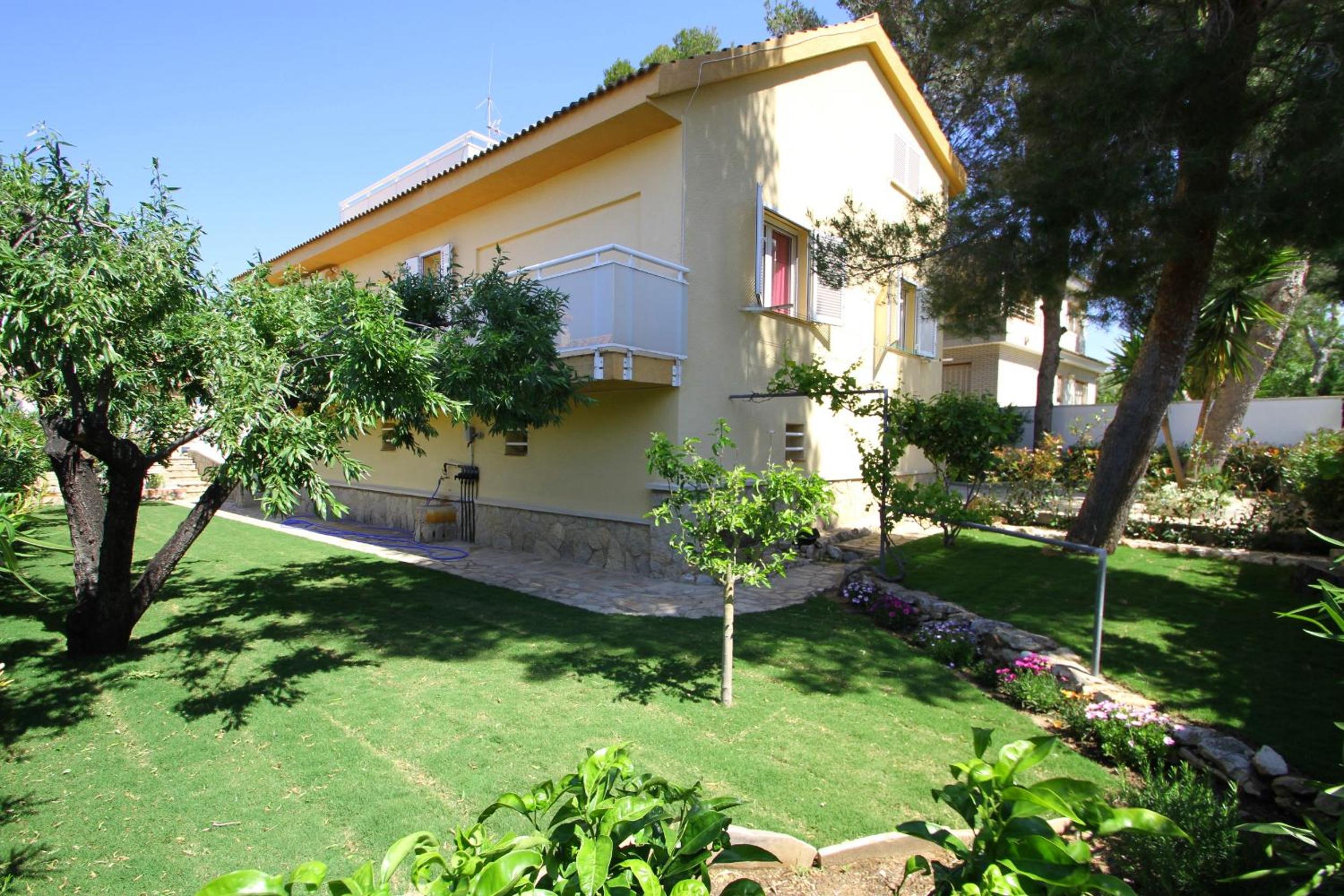 Photo 8