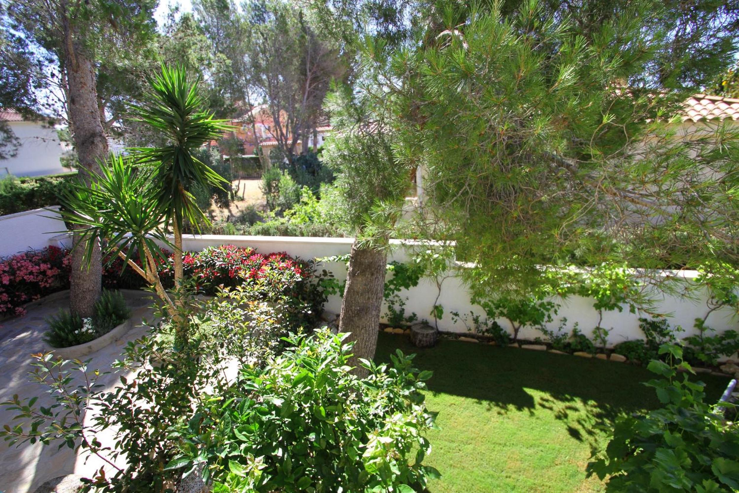 Photo 20