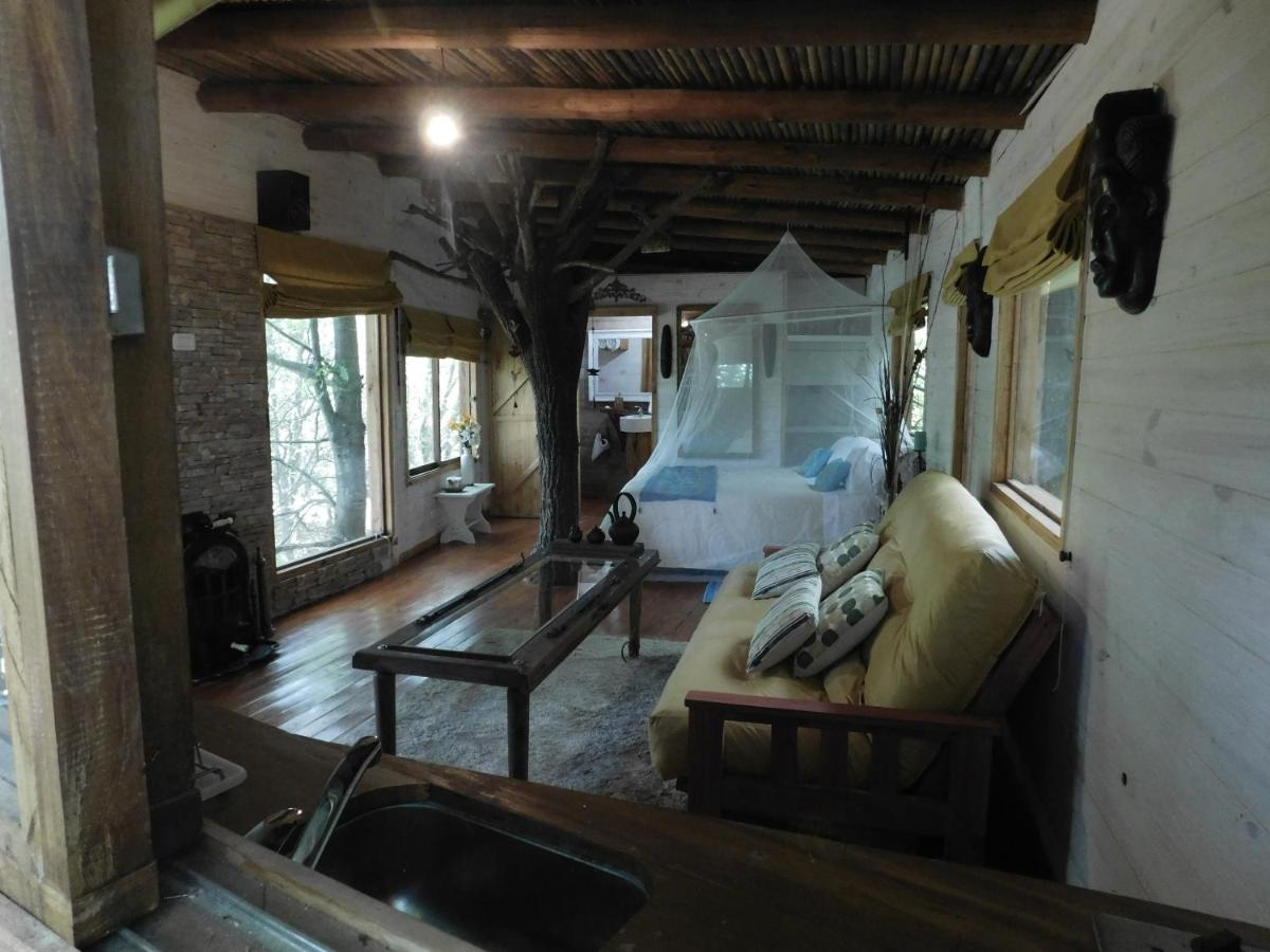 La Casa Del Arbol con pileta privada