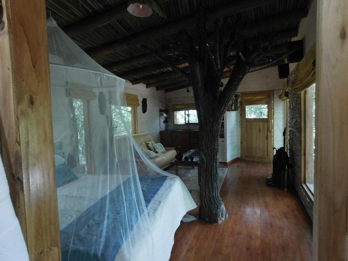 La Casa Del Arbol con pileta privada