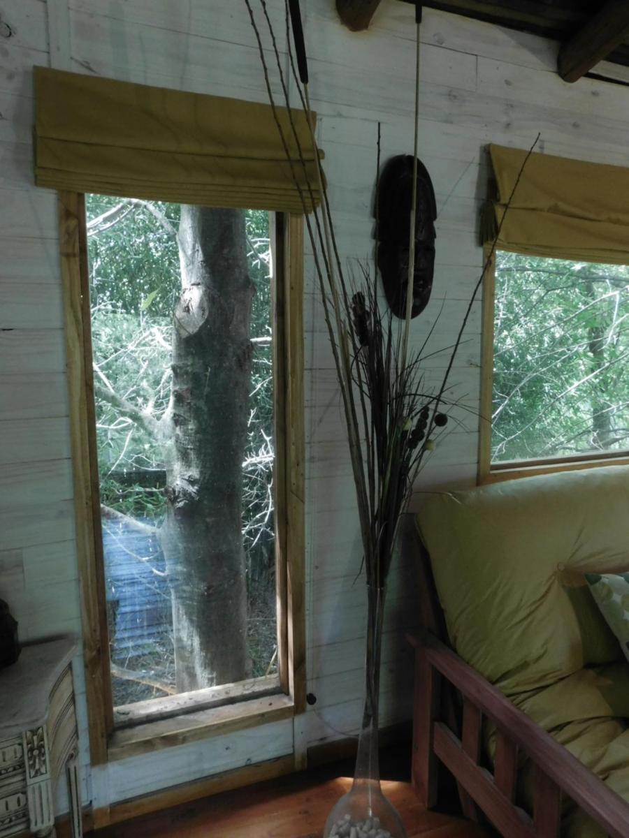 La Casa Del Arbol con pileta privada