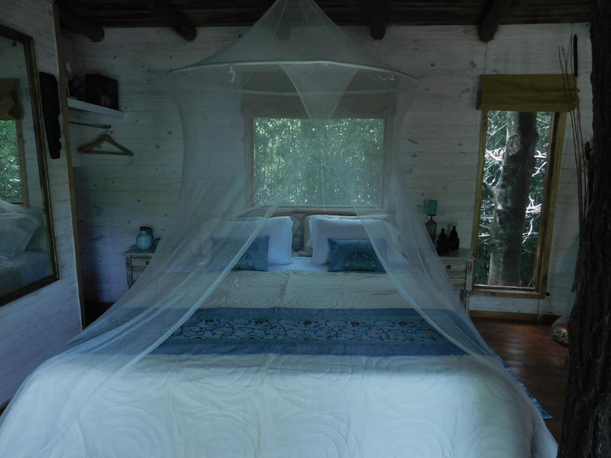 La Casa Del Arbol con pileta privada