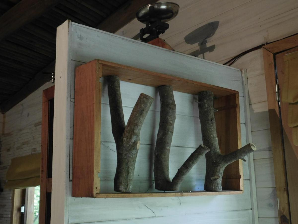 La Casa Del Arbol con pileta privada