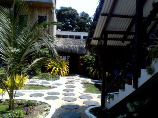 Photo 48