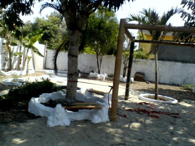 Photo 47