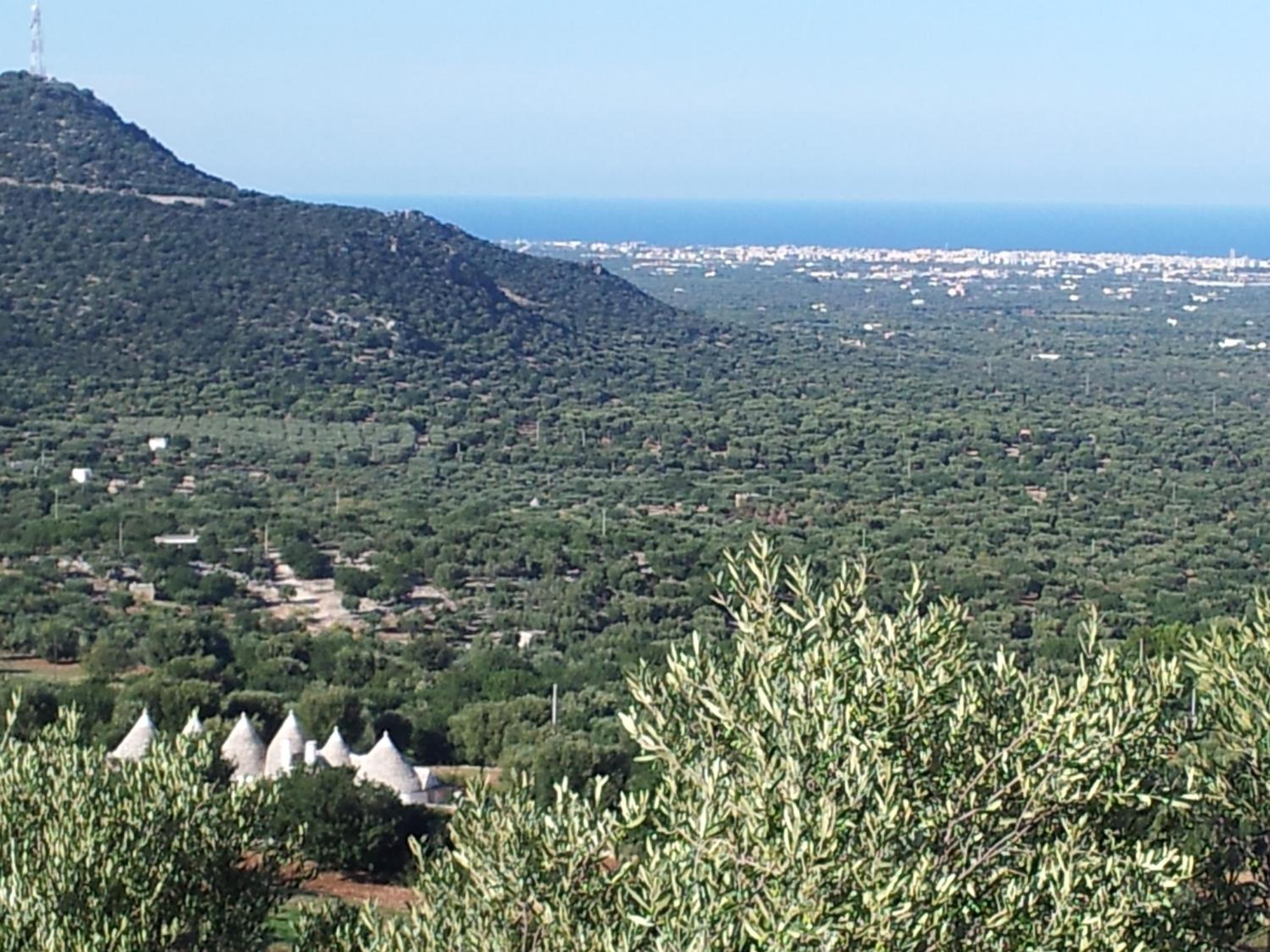 Villa Capitolo