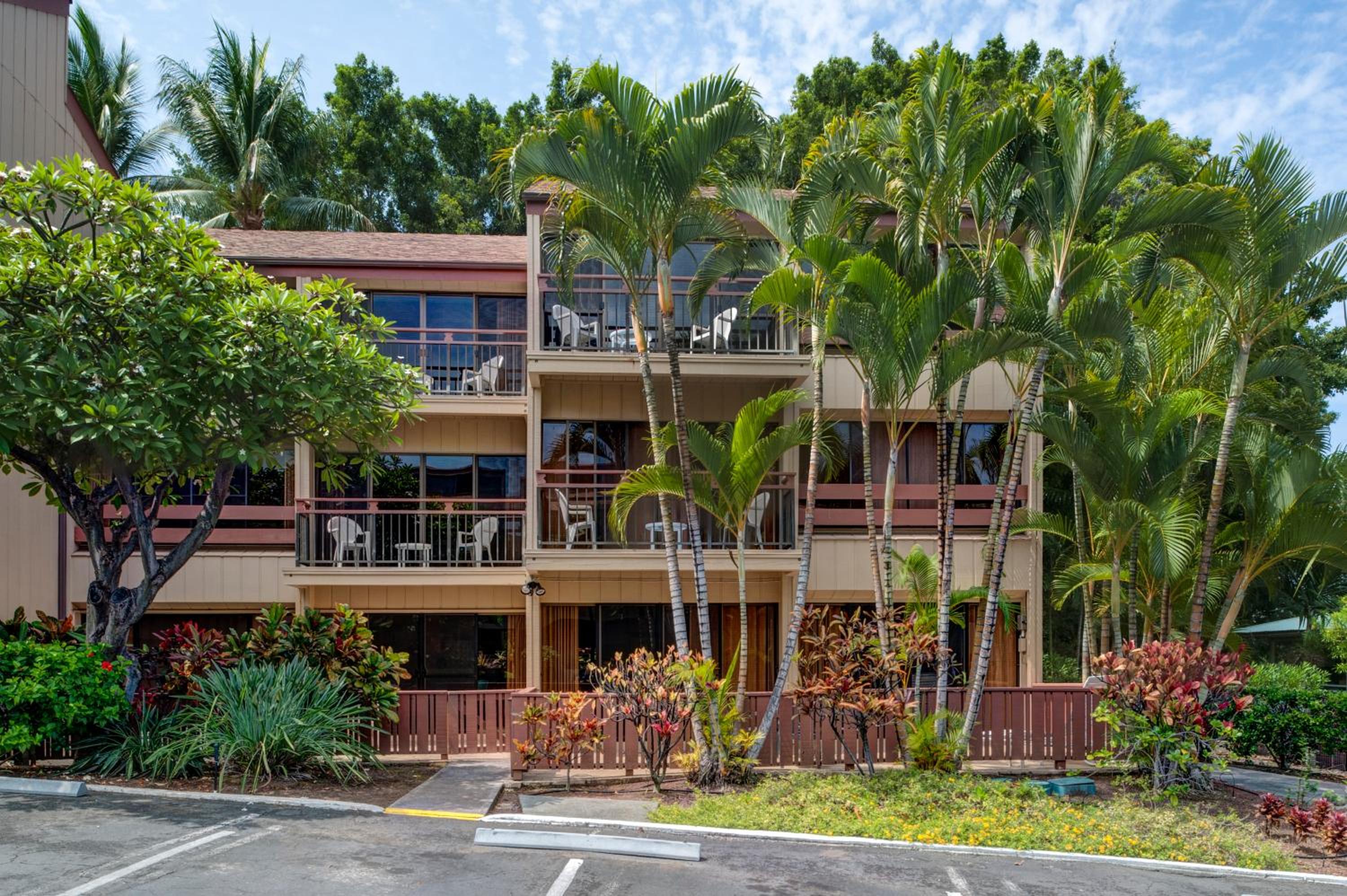 The Kona Billfisher view 5