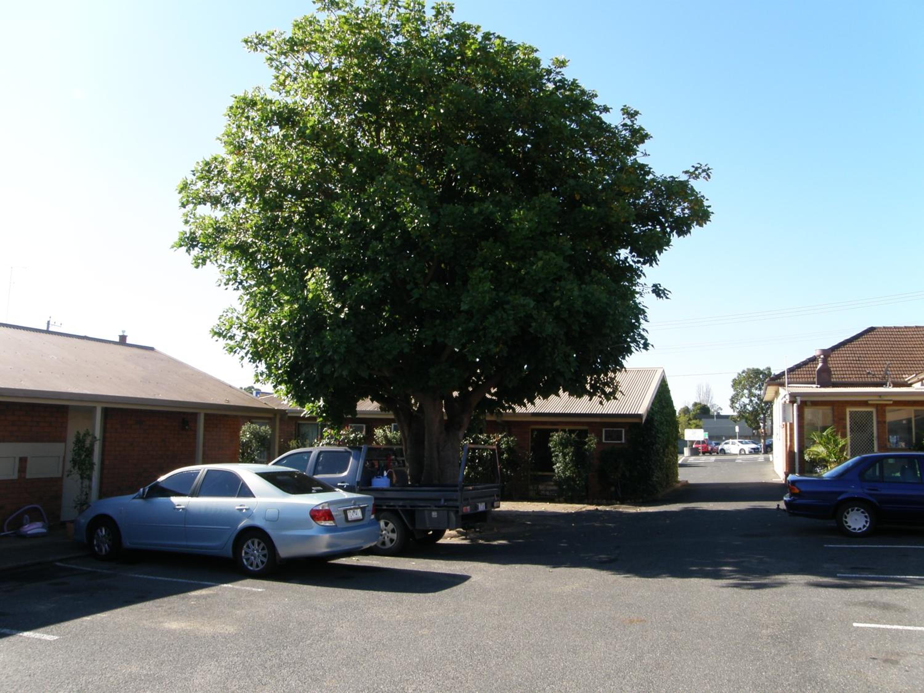 Shannon Motor Inn