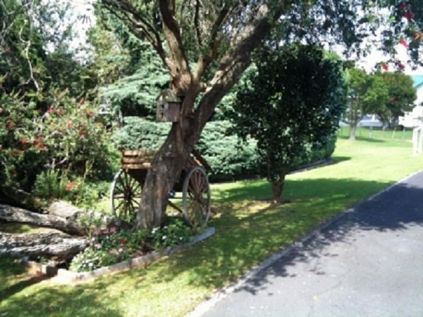 Dargaville Motel view 4