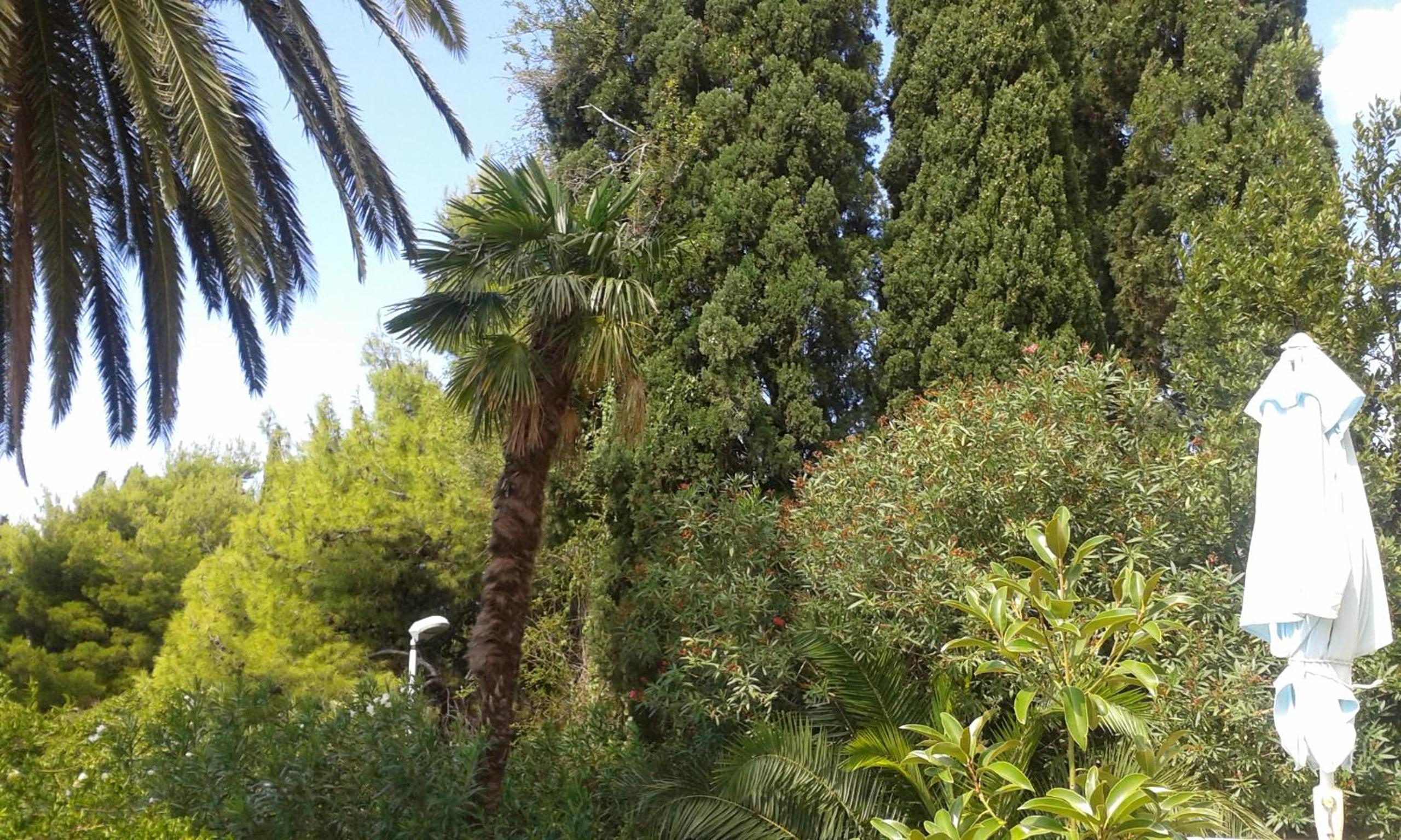 Photo 46