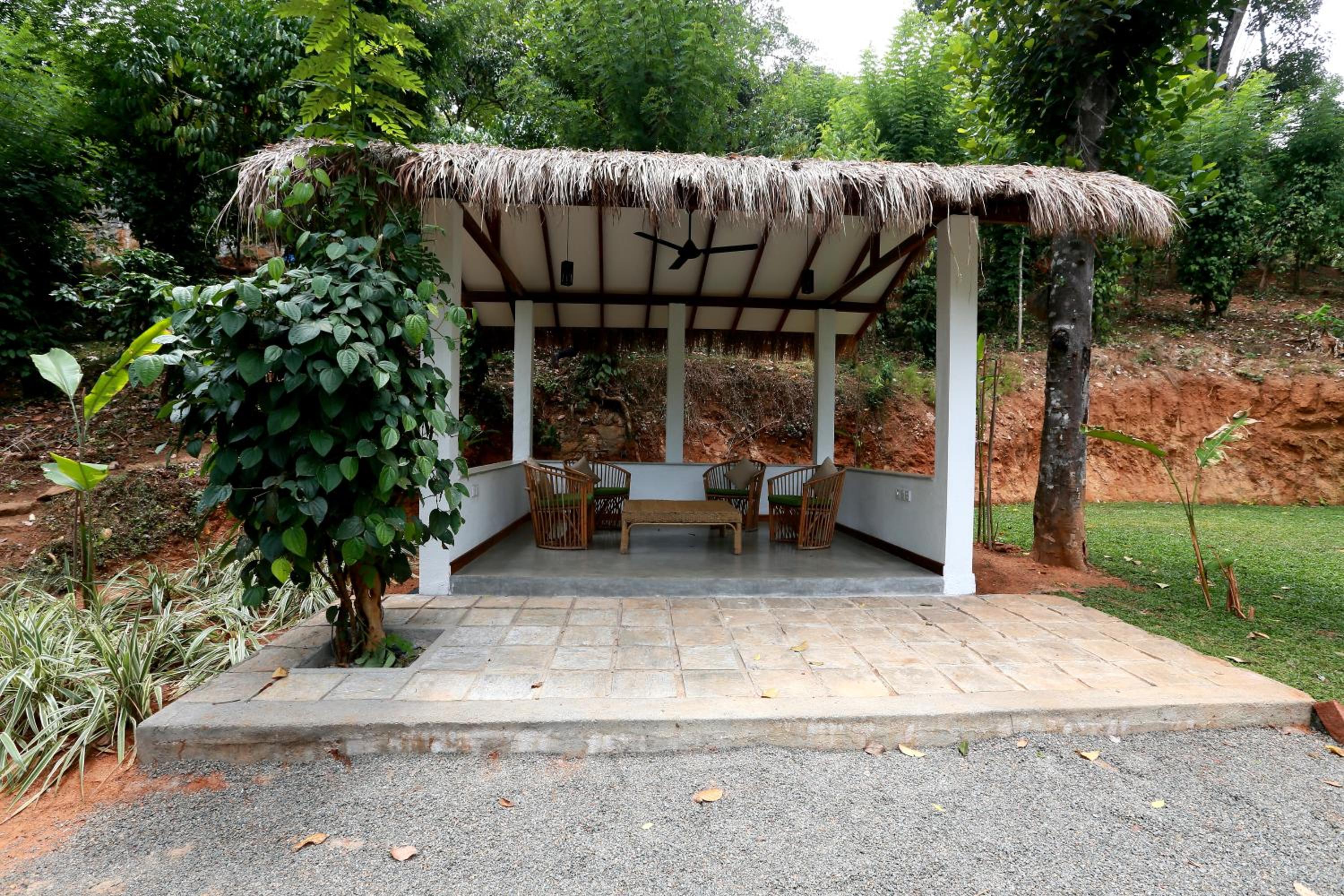 Zee's Garden view 3