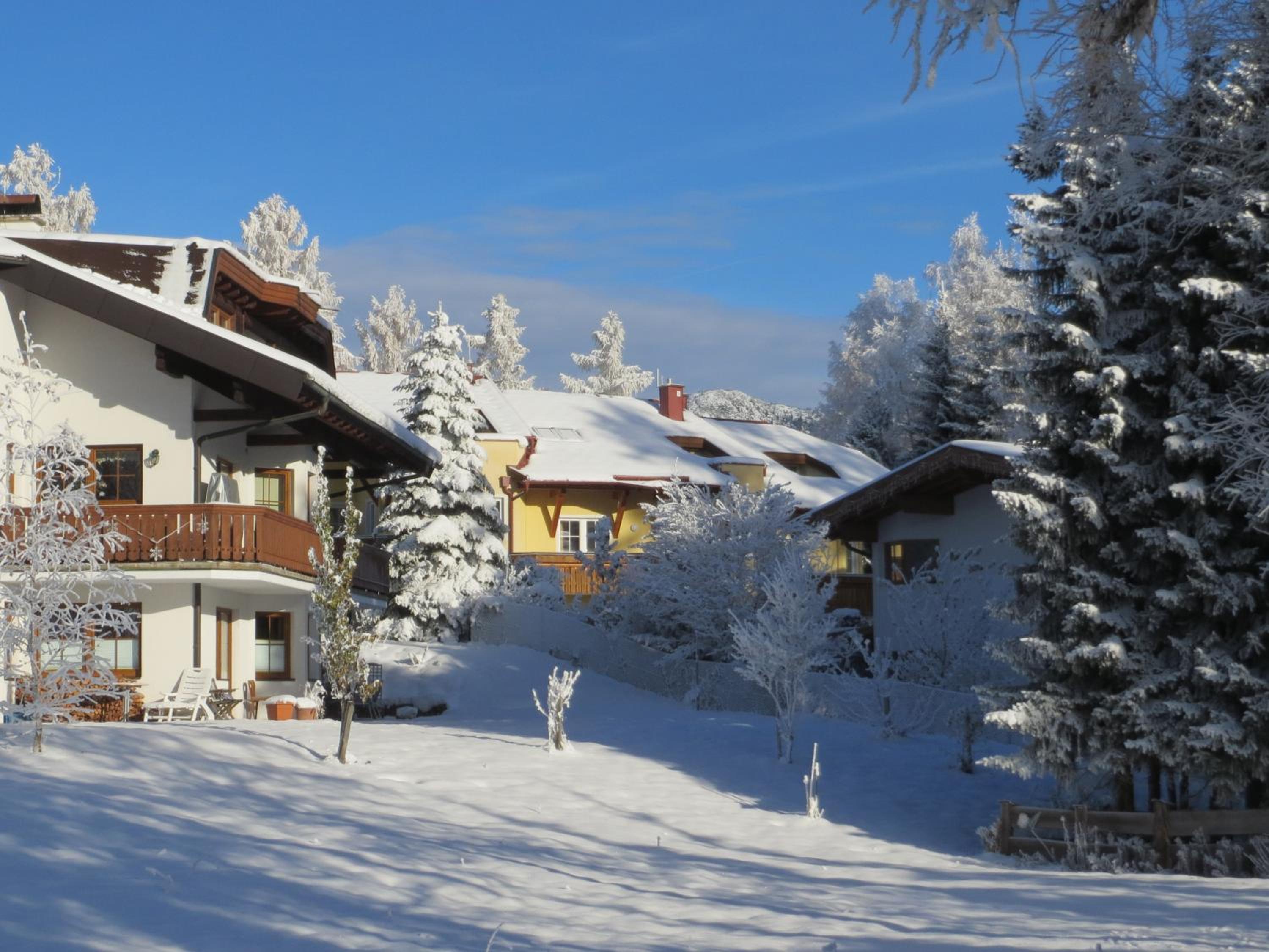 Haus Elisengrund am Geigenbuehel - chalet privé