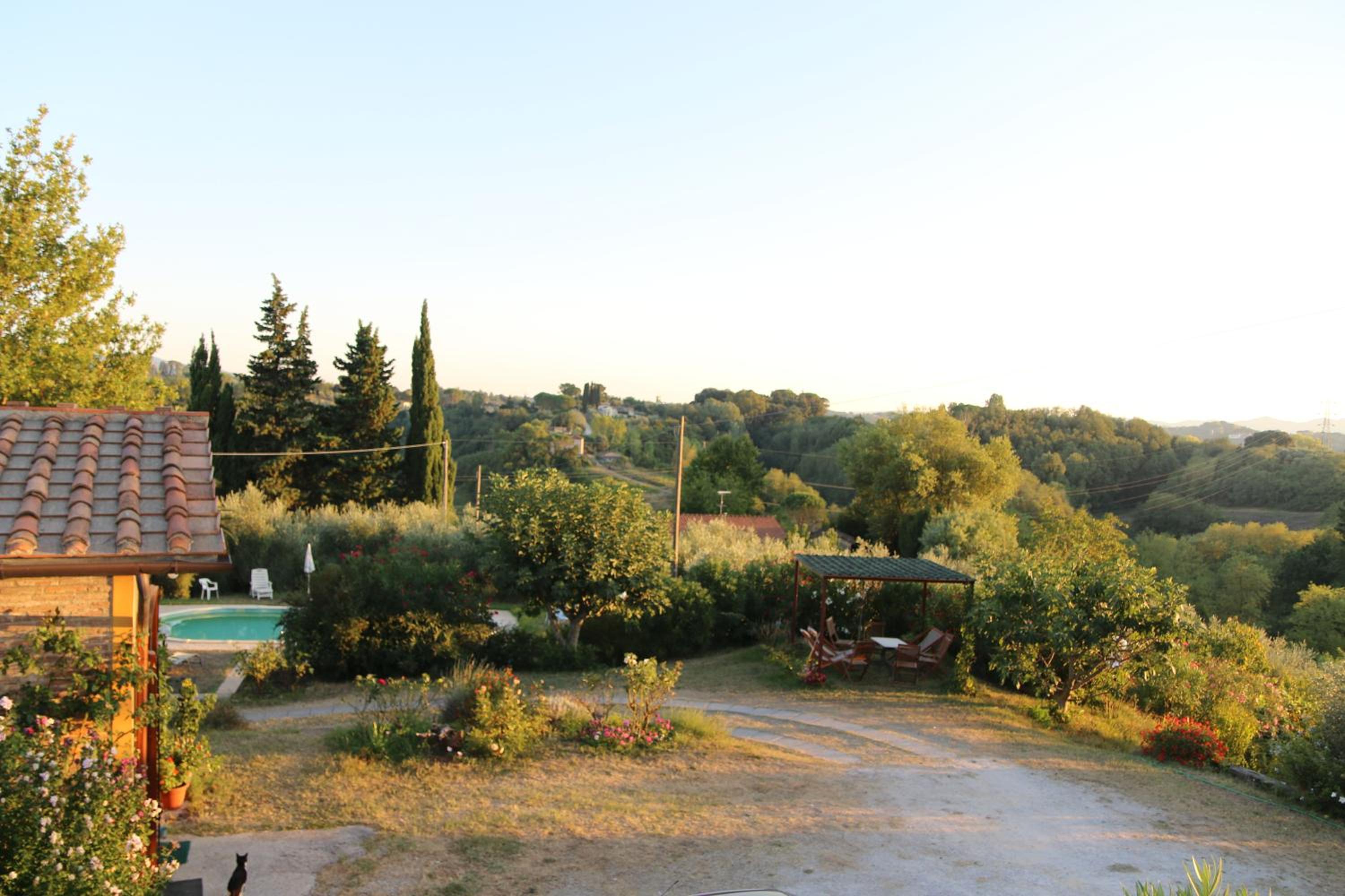 Photo 10