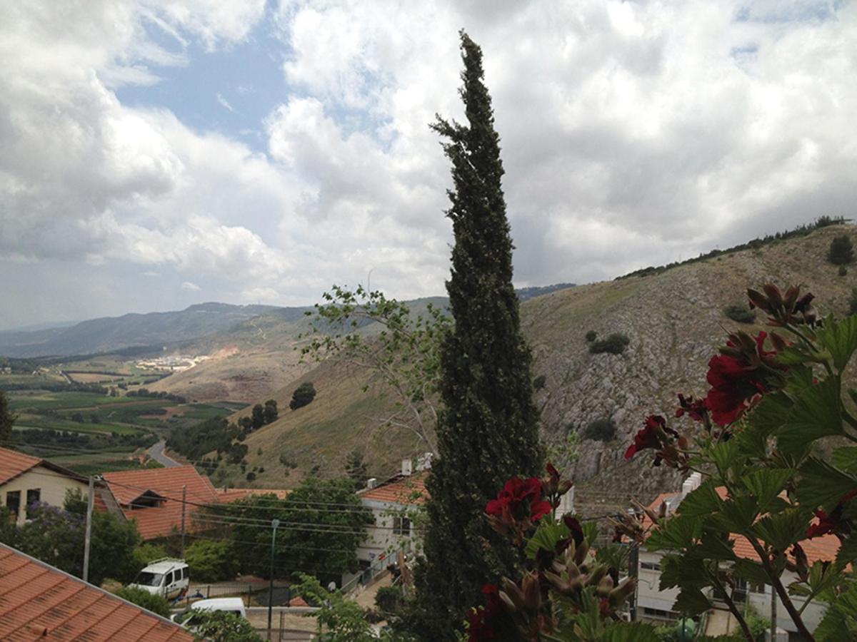 Photo 24