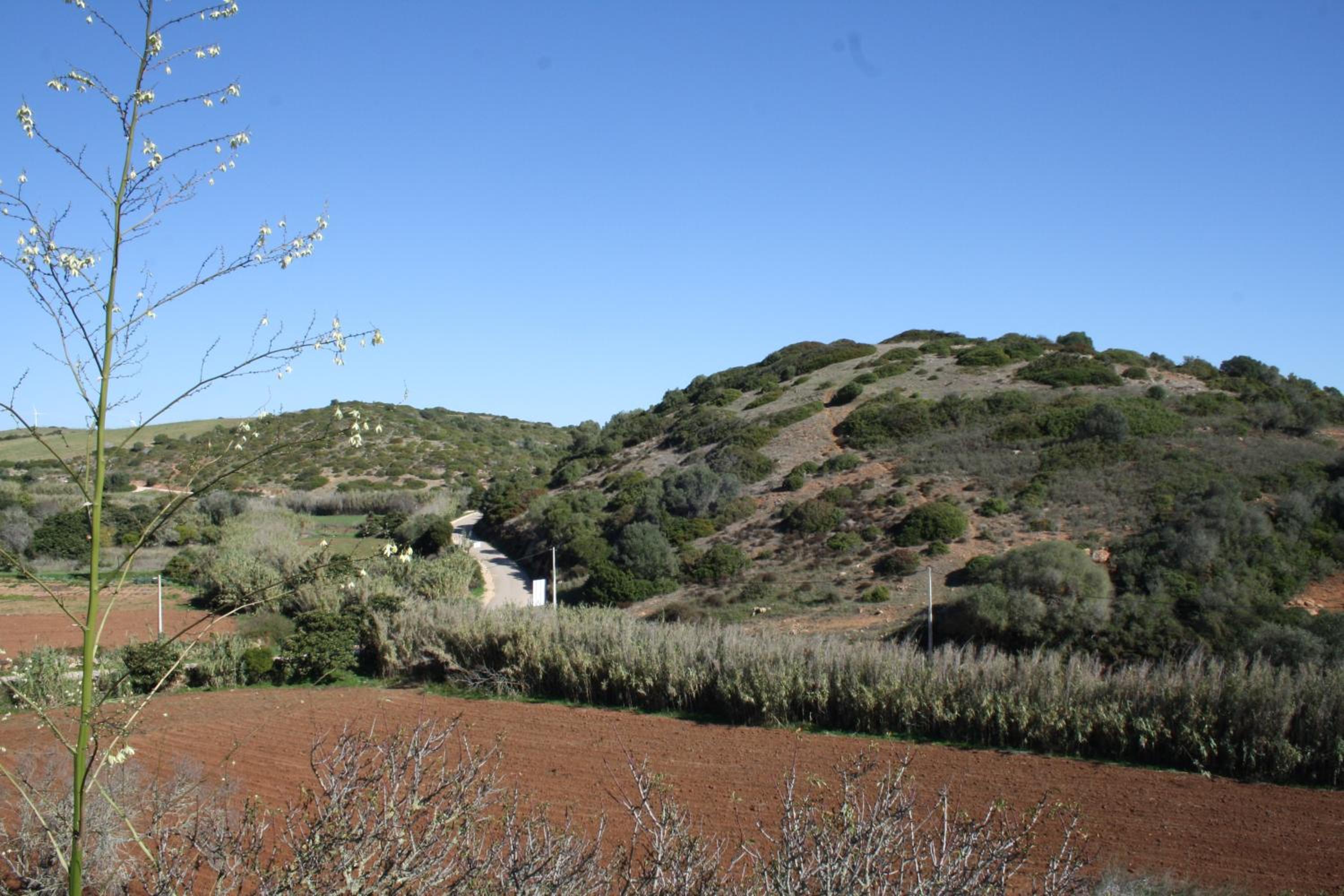 Photo 32