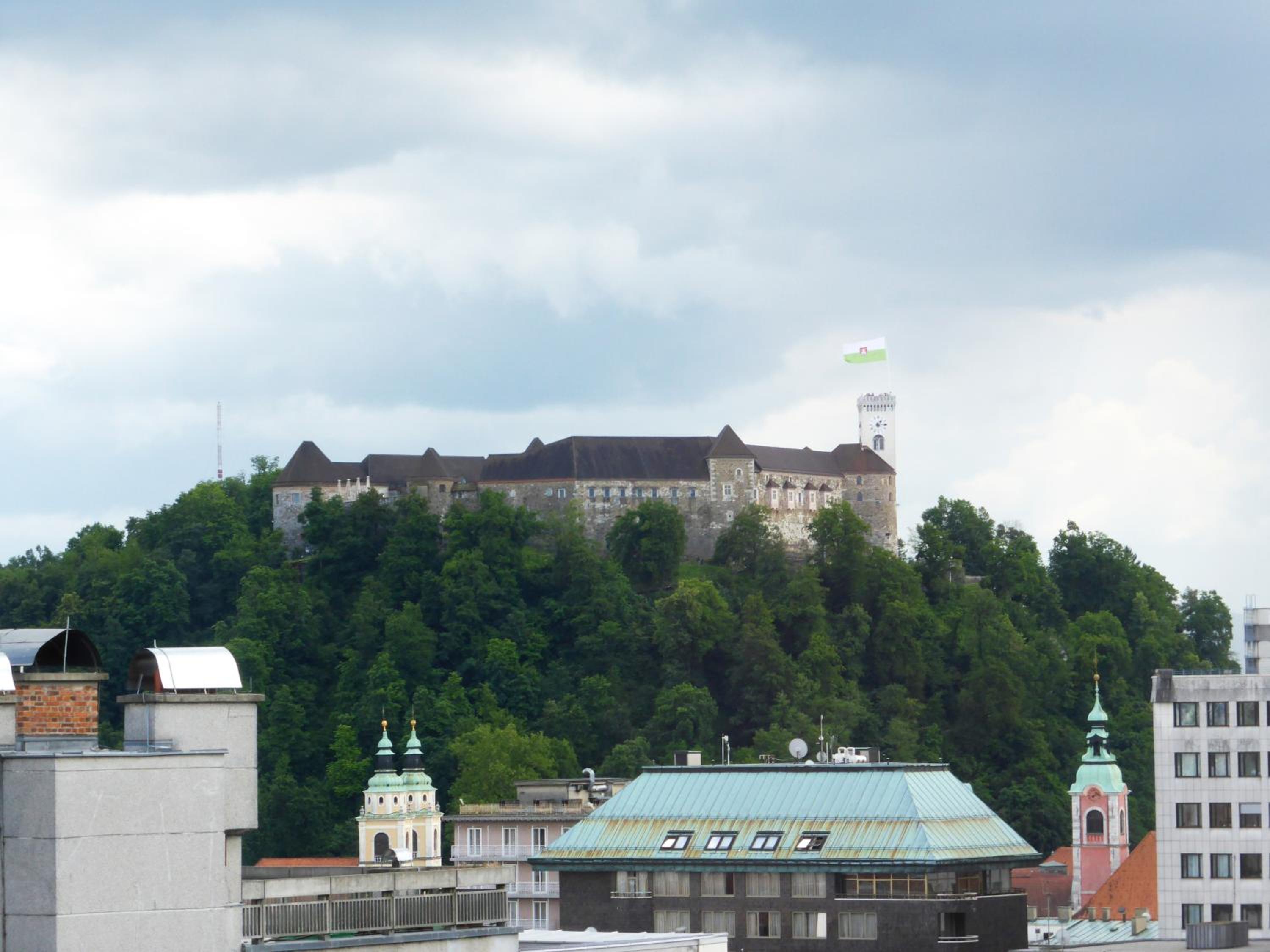 Photo 10