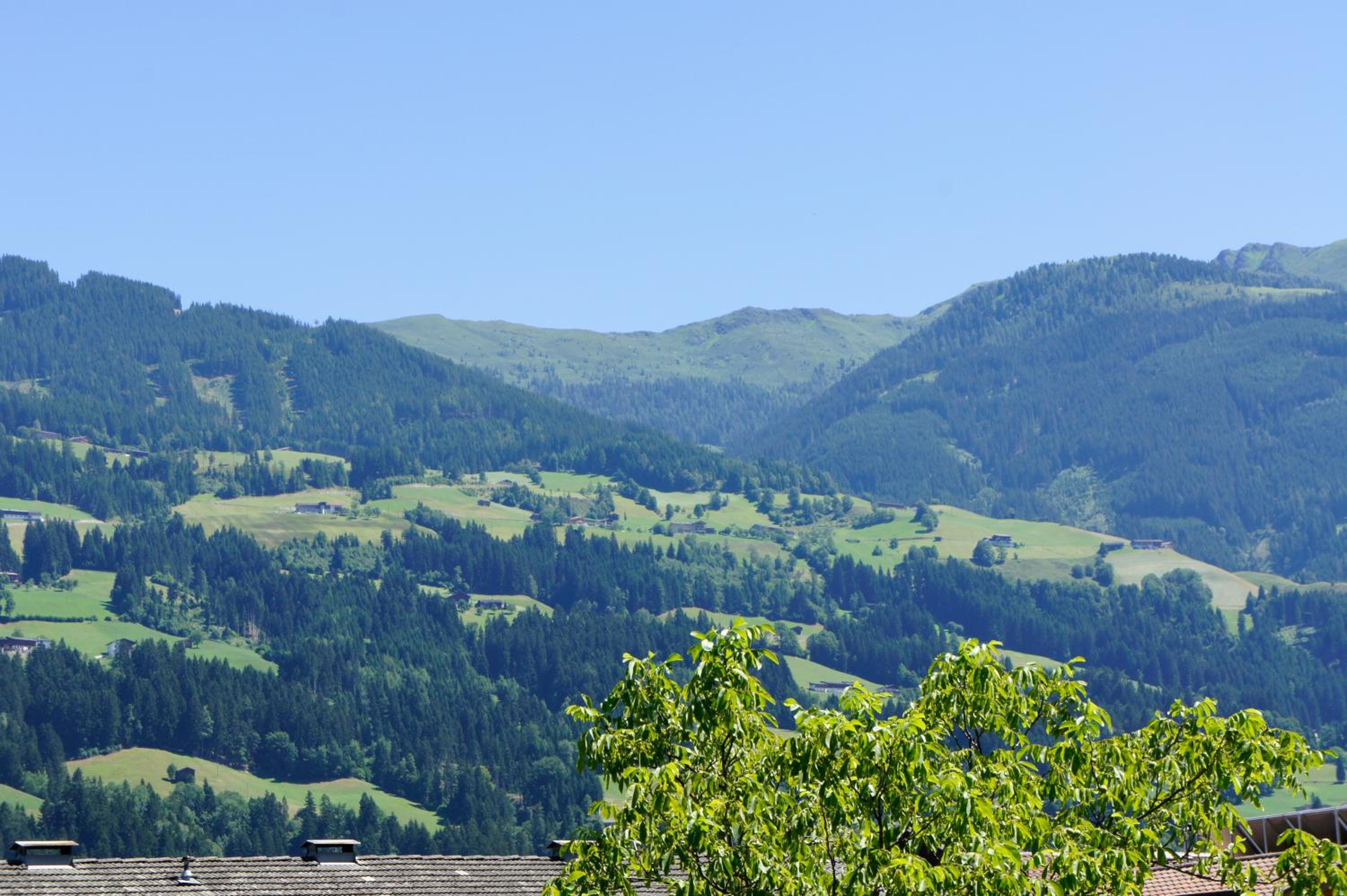 Apart Söllbacherhof