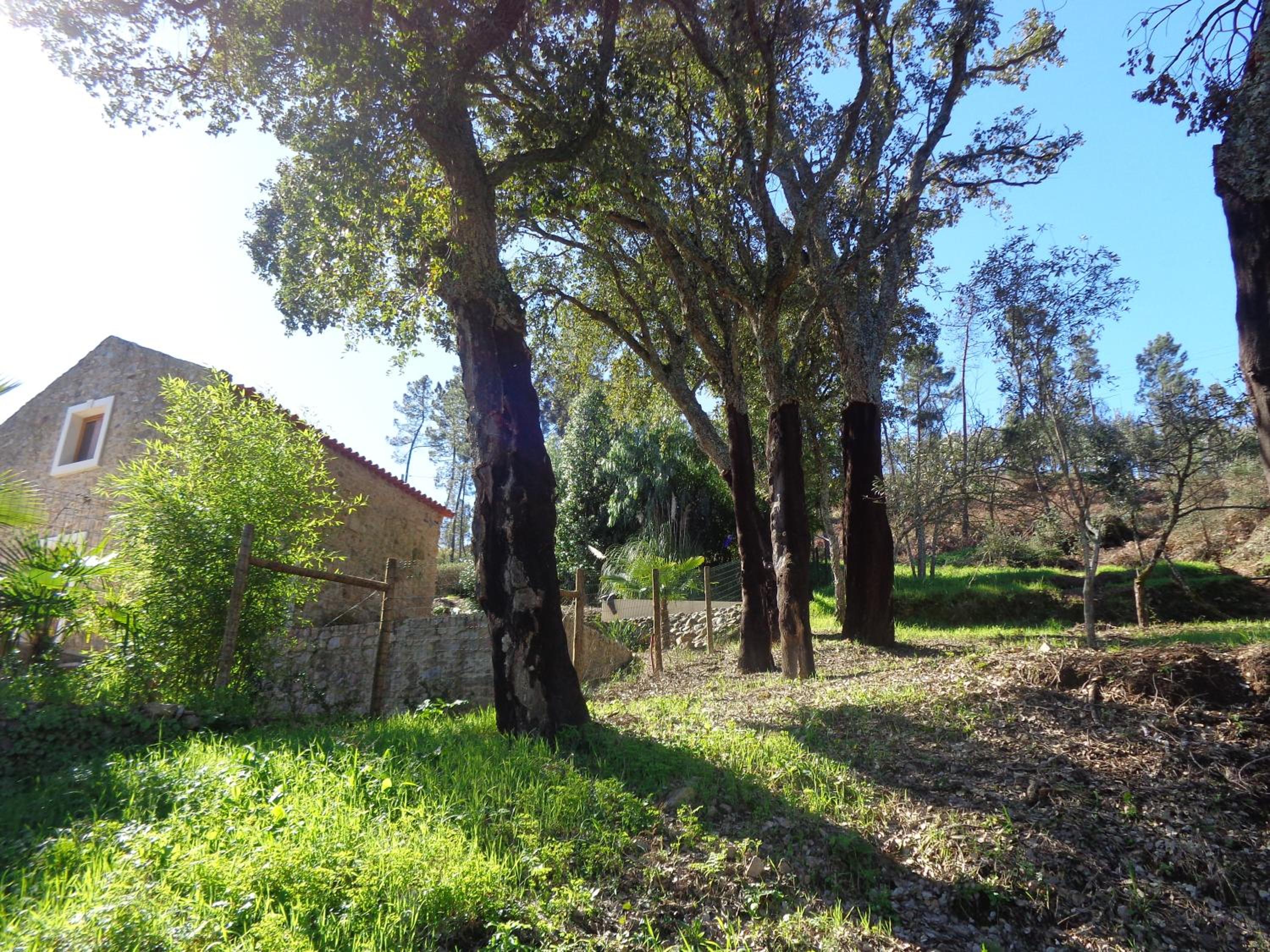 Photo 21