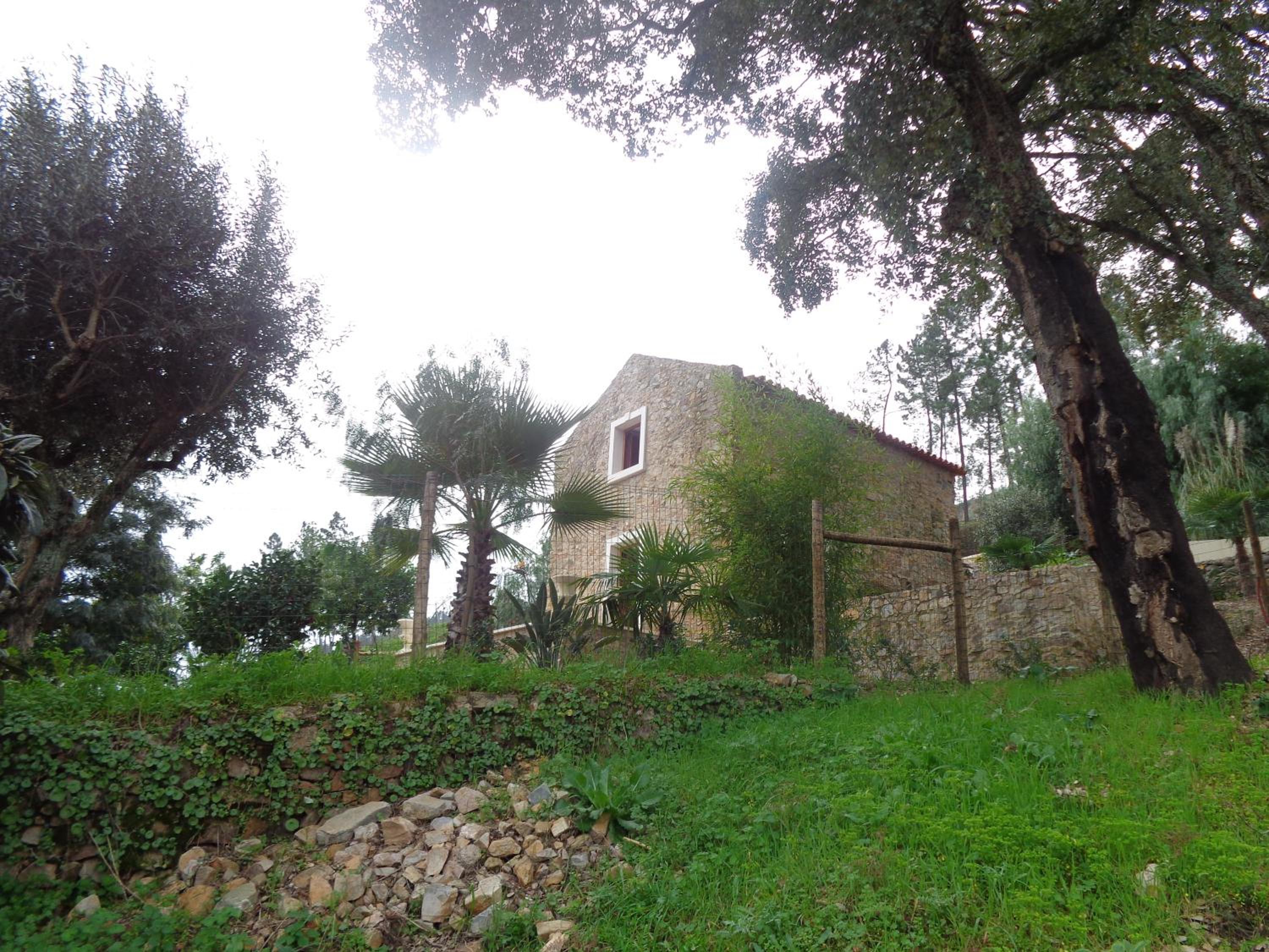 Photo 20