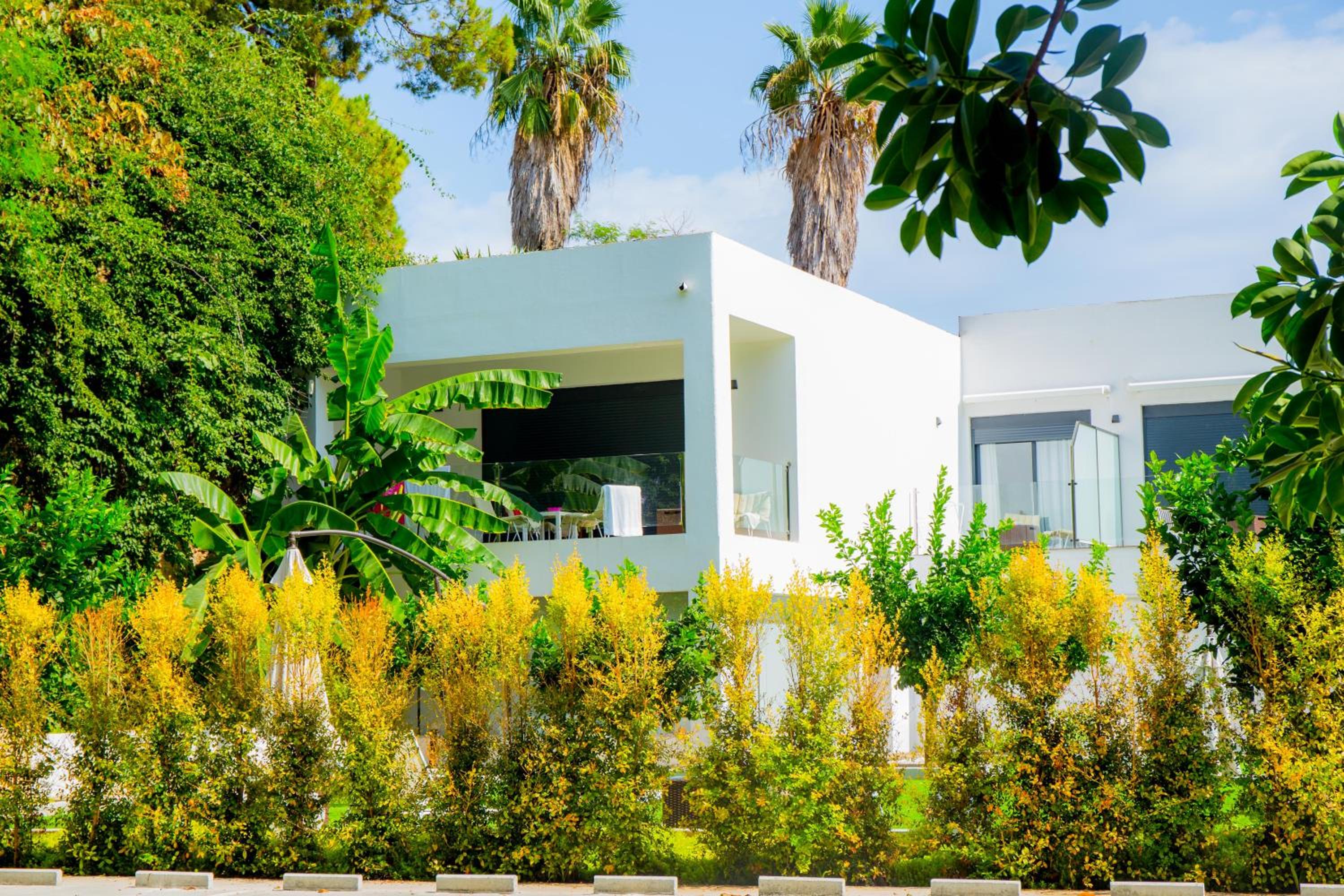 BLUESEA Dimona Suites