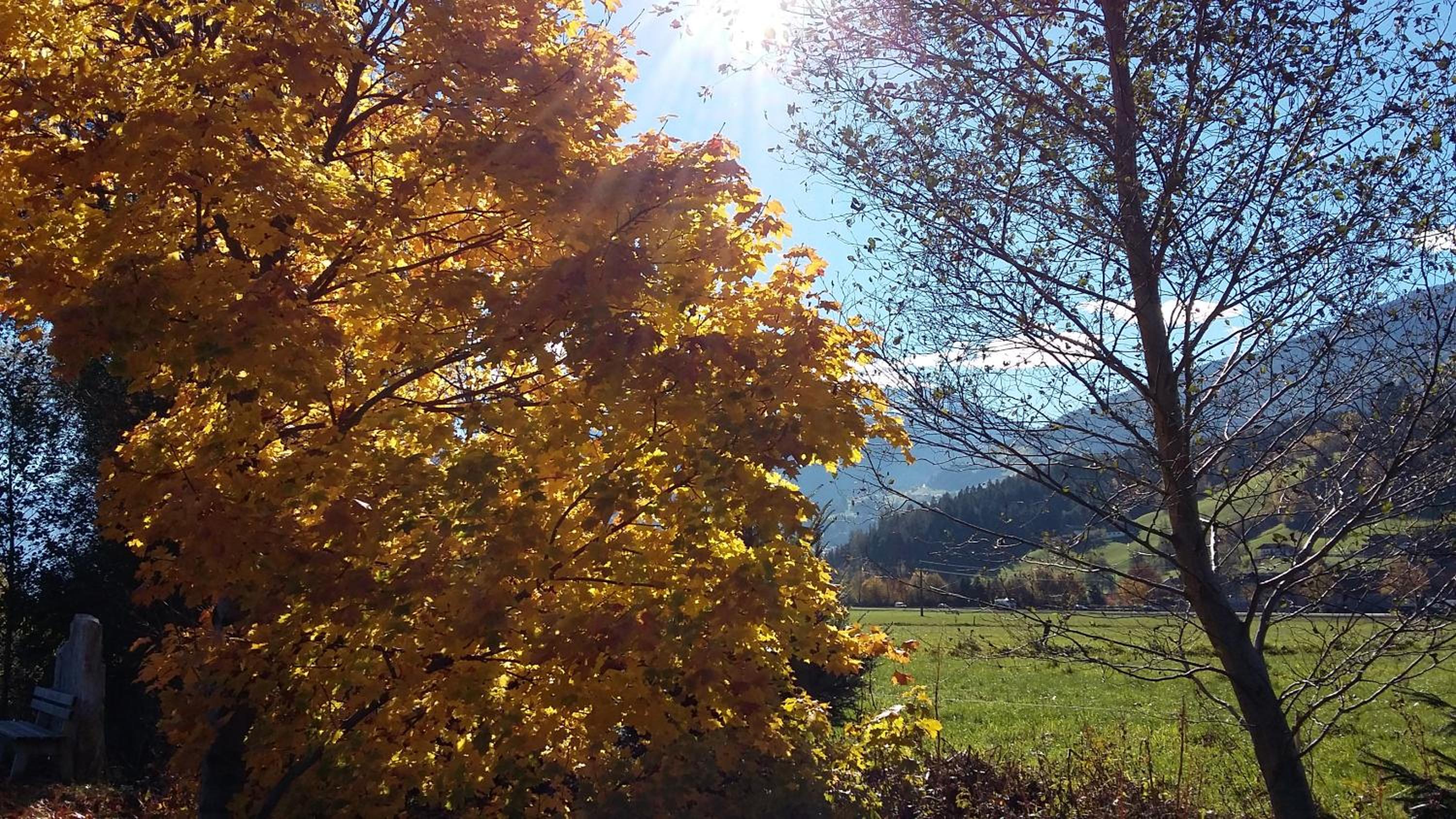 Apart Söllbacherhof