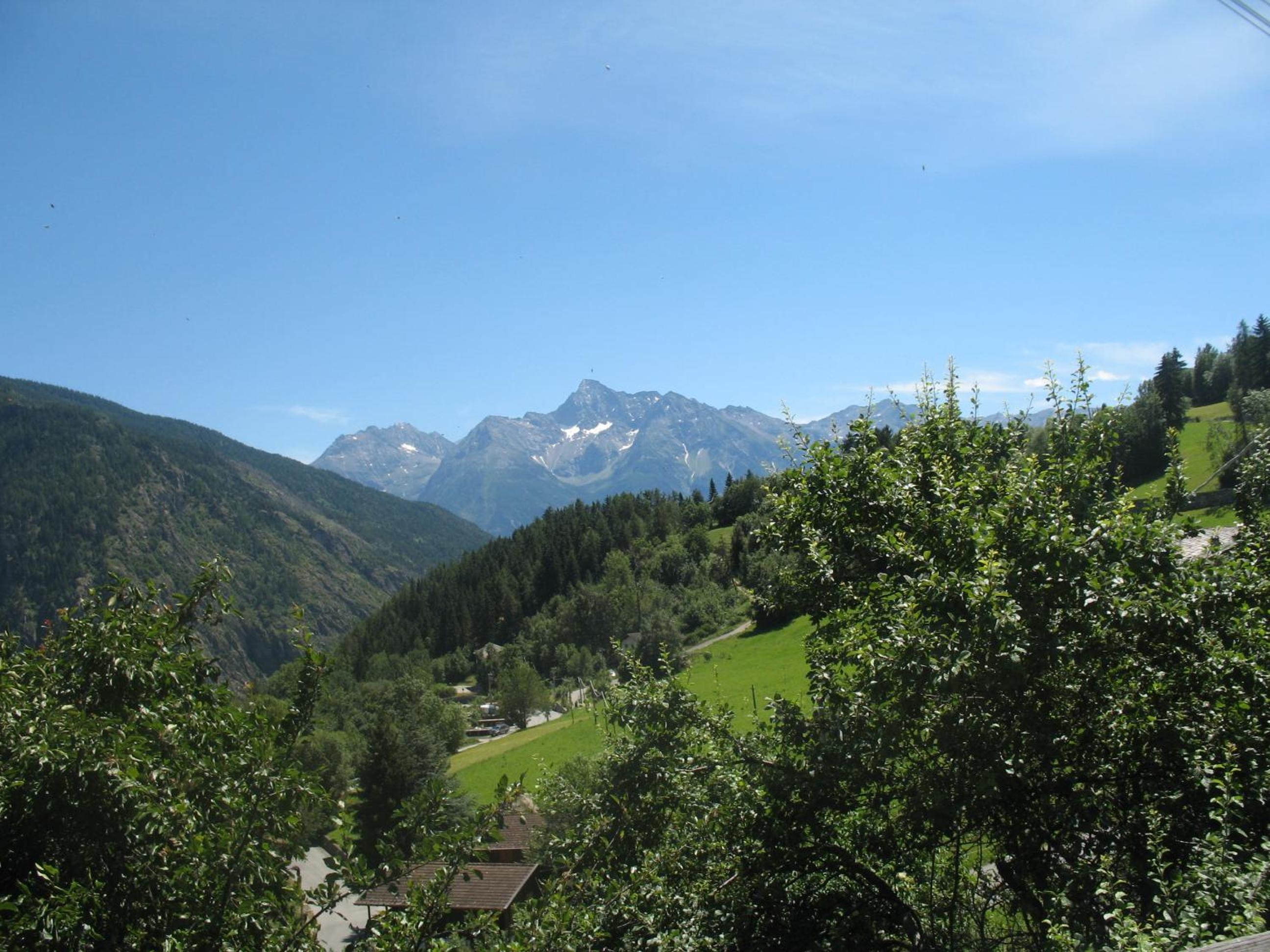 Photo 22