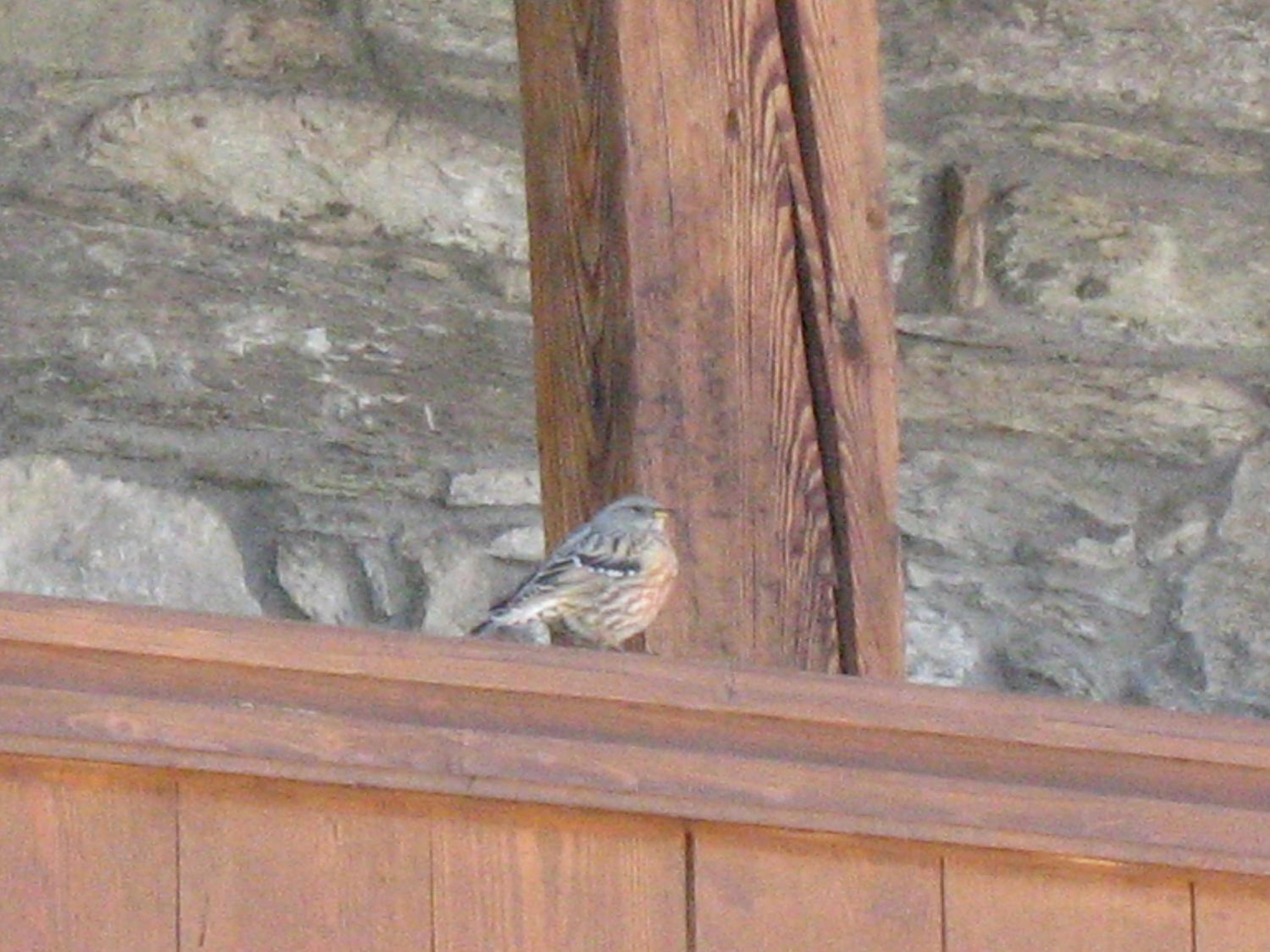 Photo 25