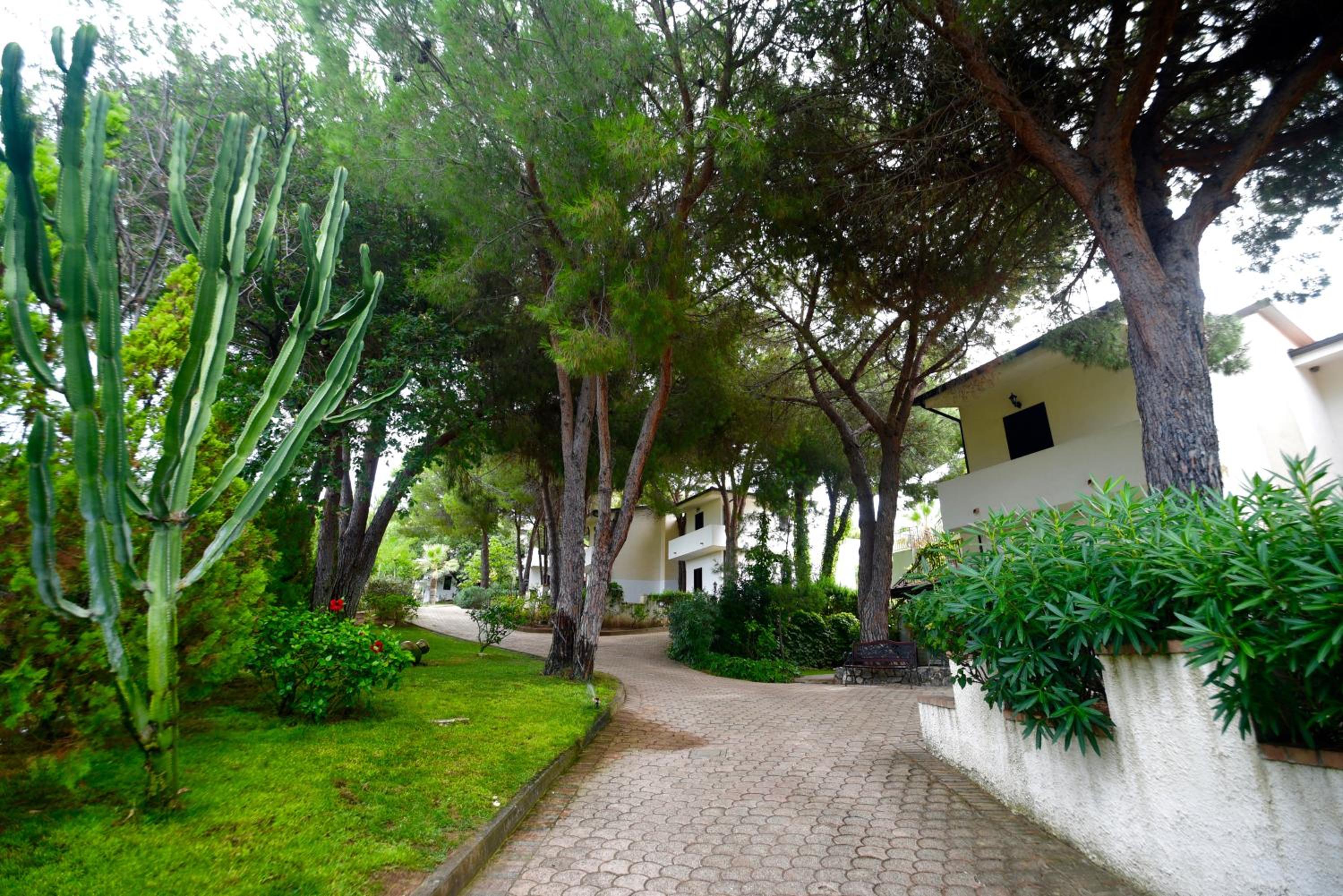 Villaggio Pineta Petto Bianco - Property Image 24