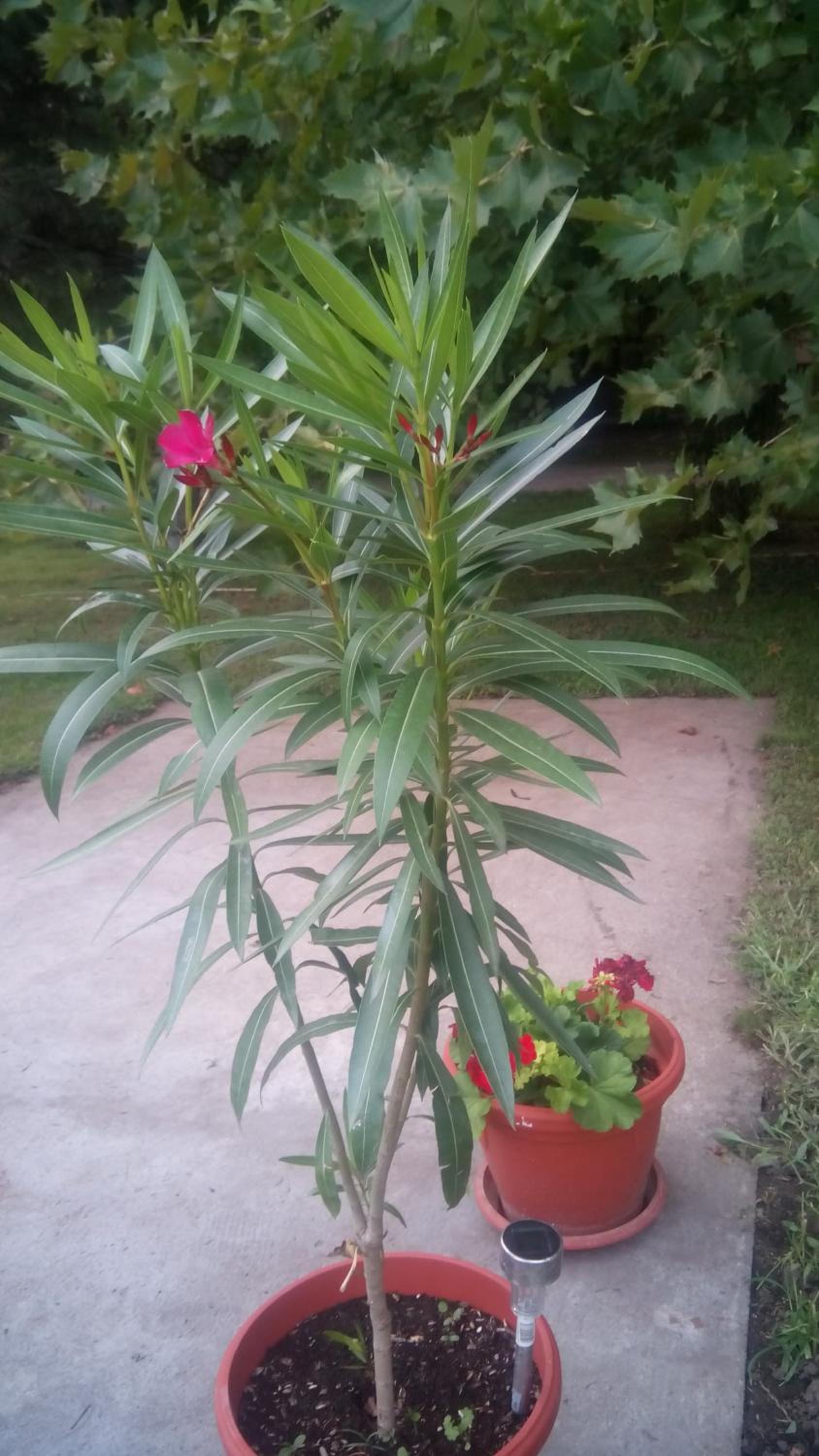 Photo 26