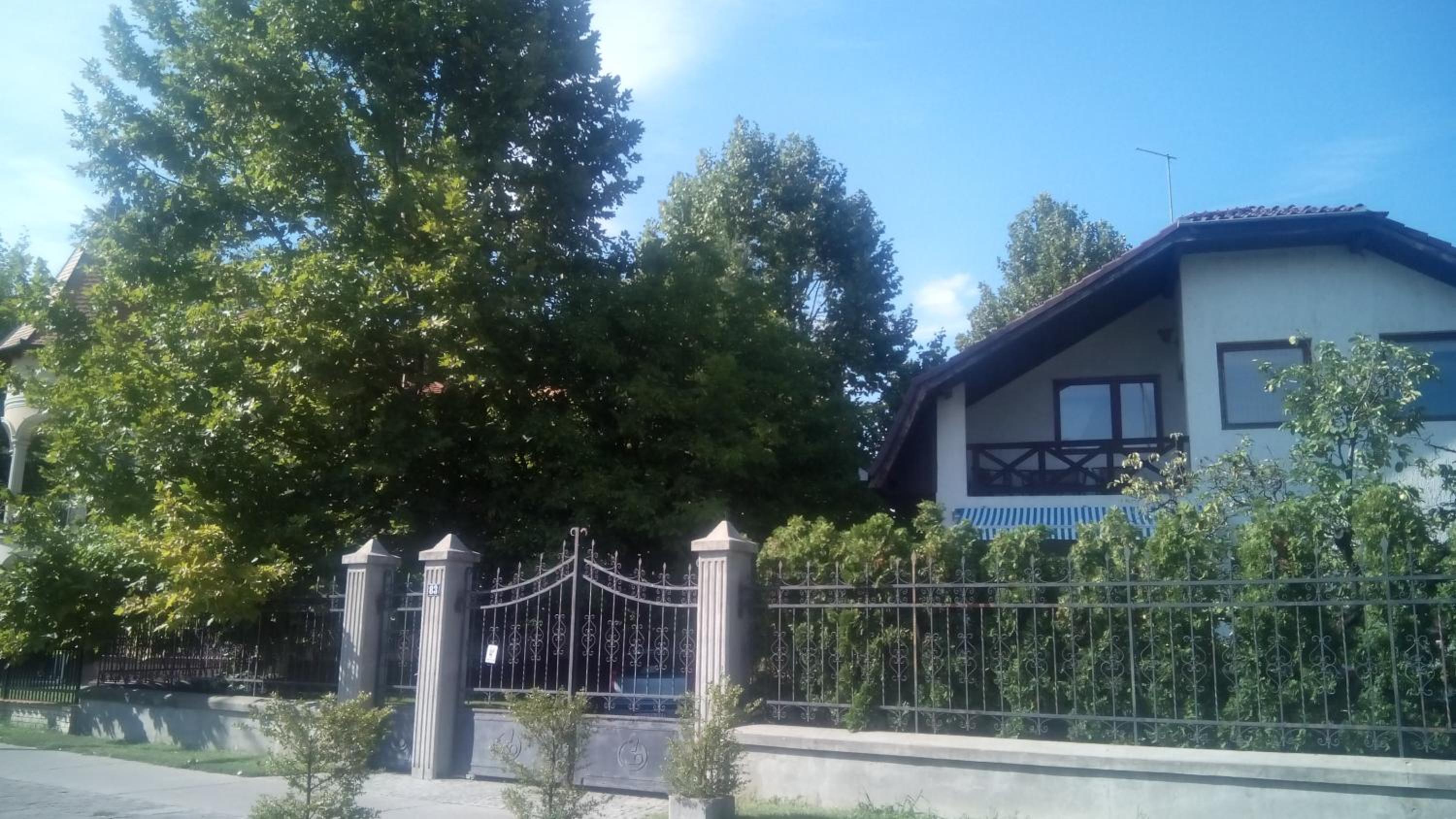 Photo 35