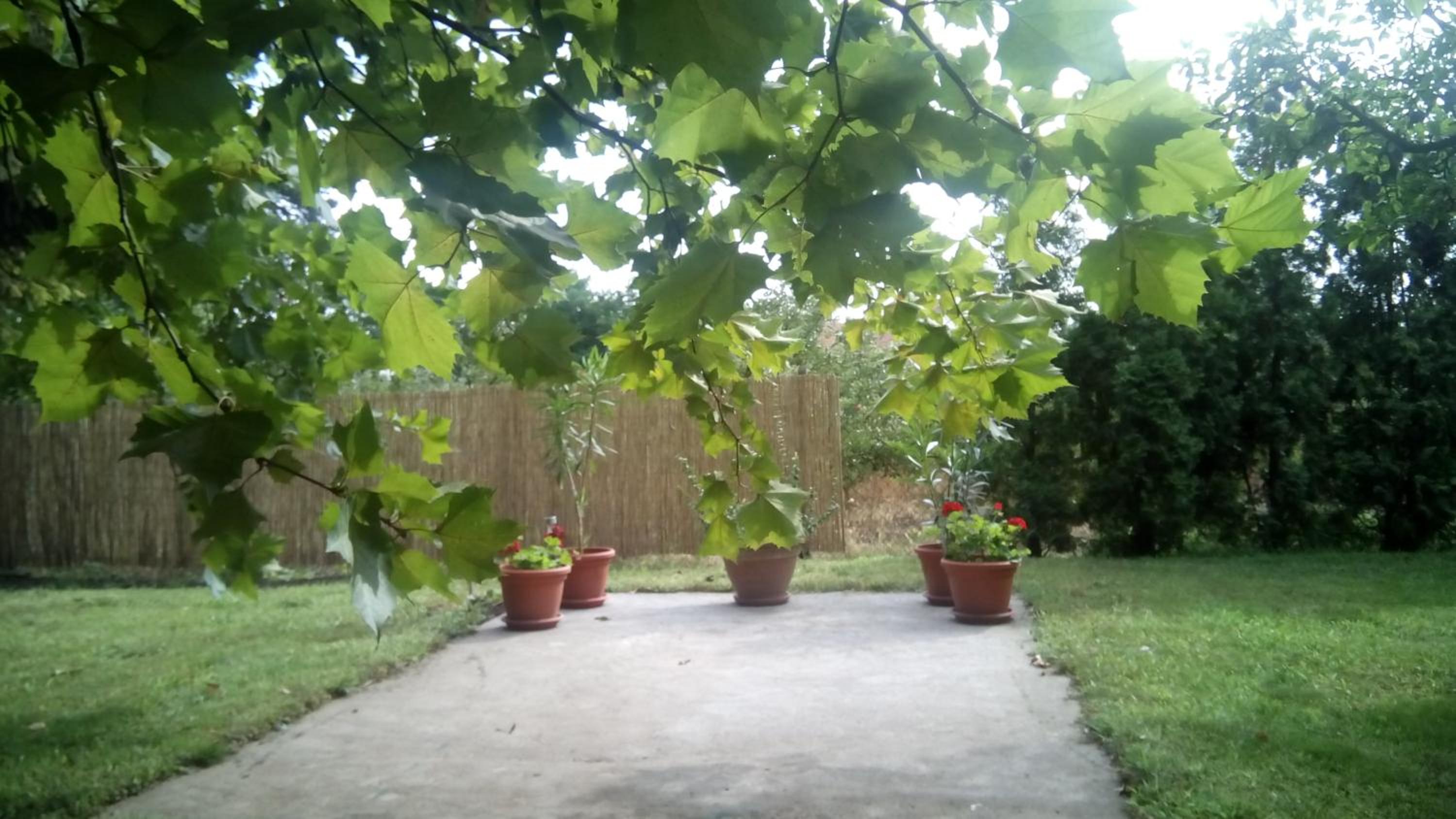Photo 37